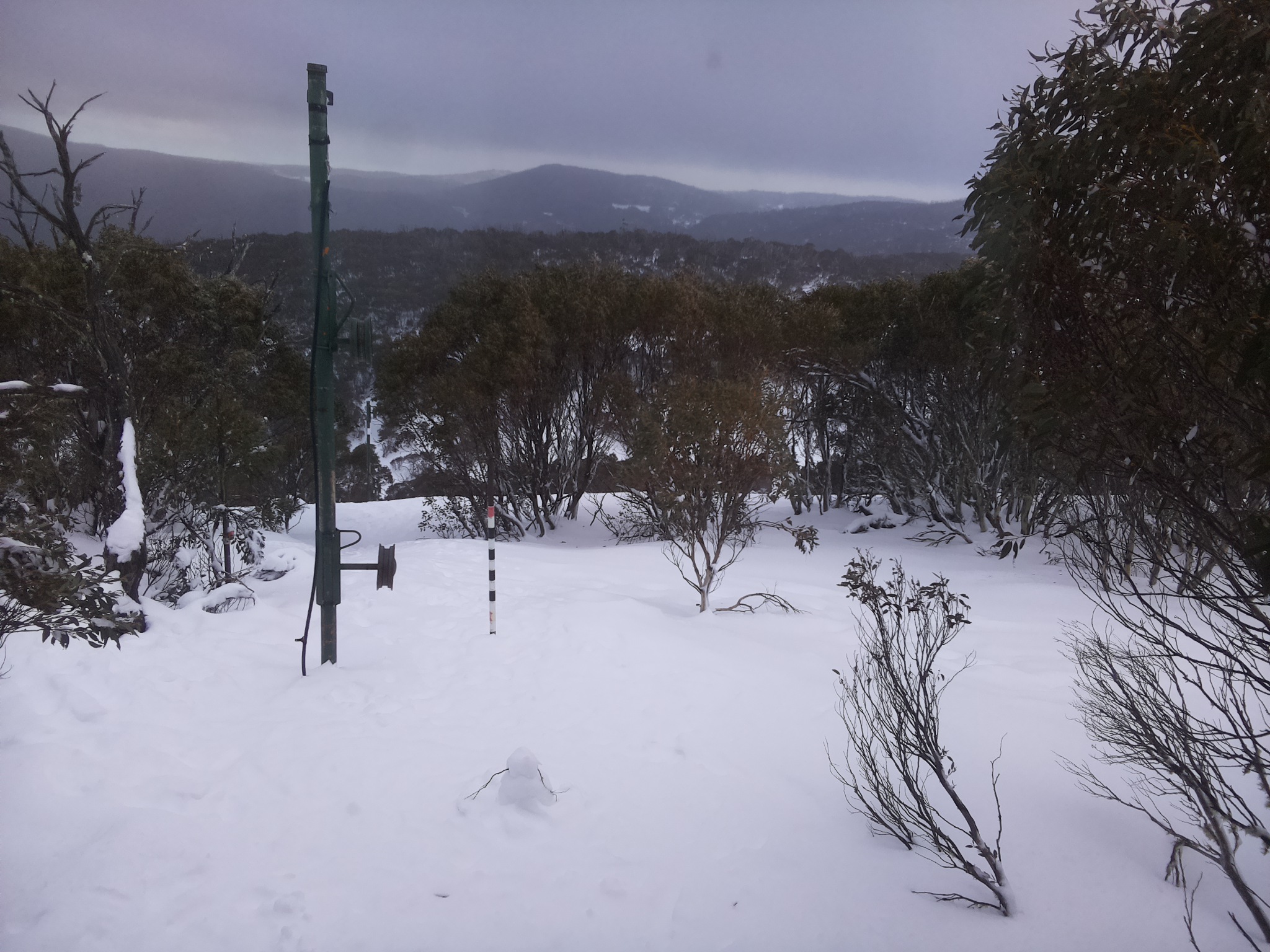 Bogong Web Cam 4:20pm Thursday 17th of July 2025