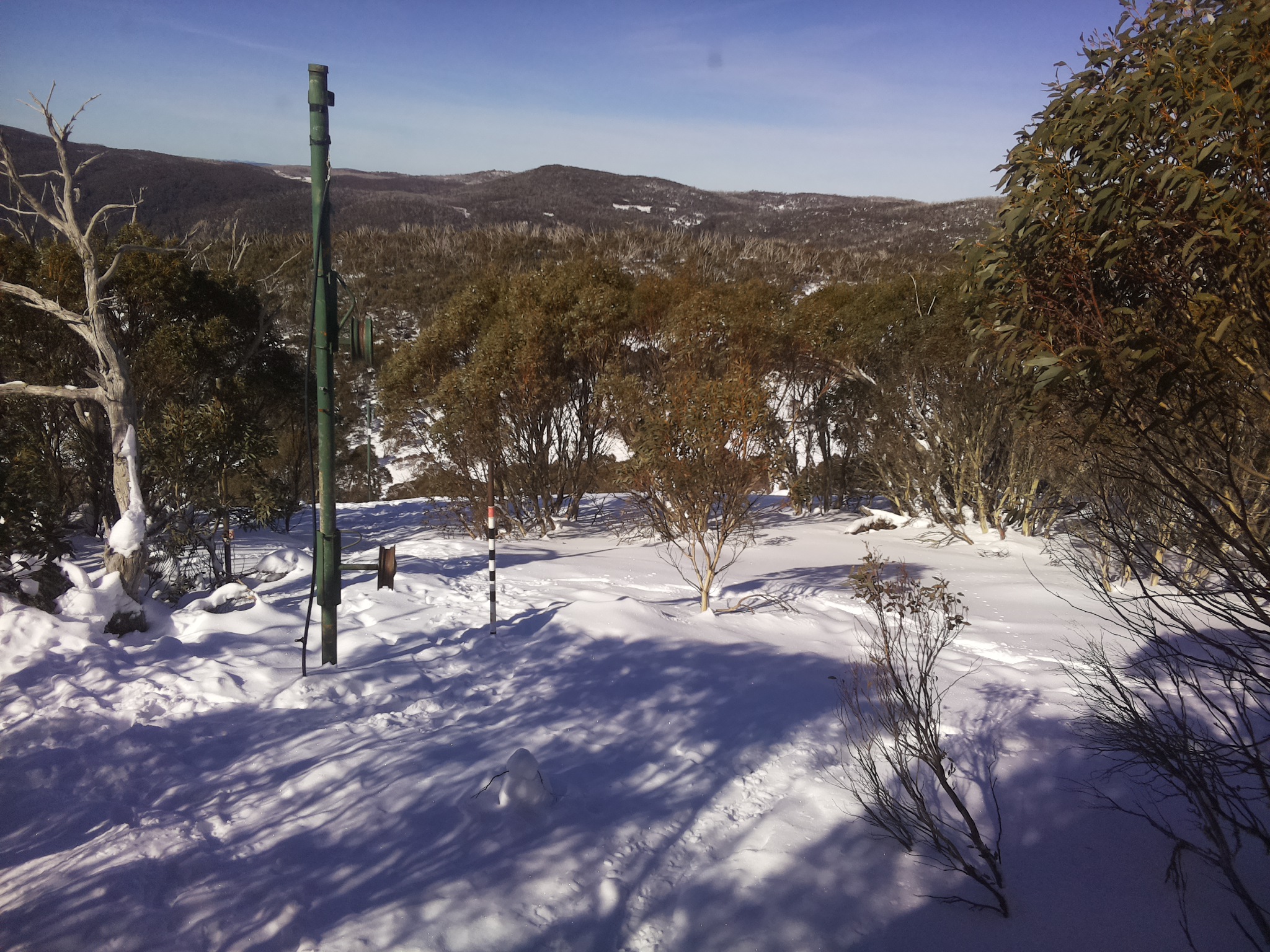Bogong Web Cam 11:20am Saturday 19th of July 2025