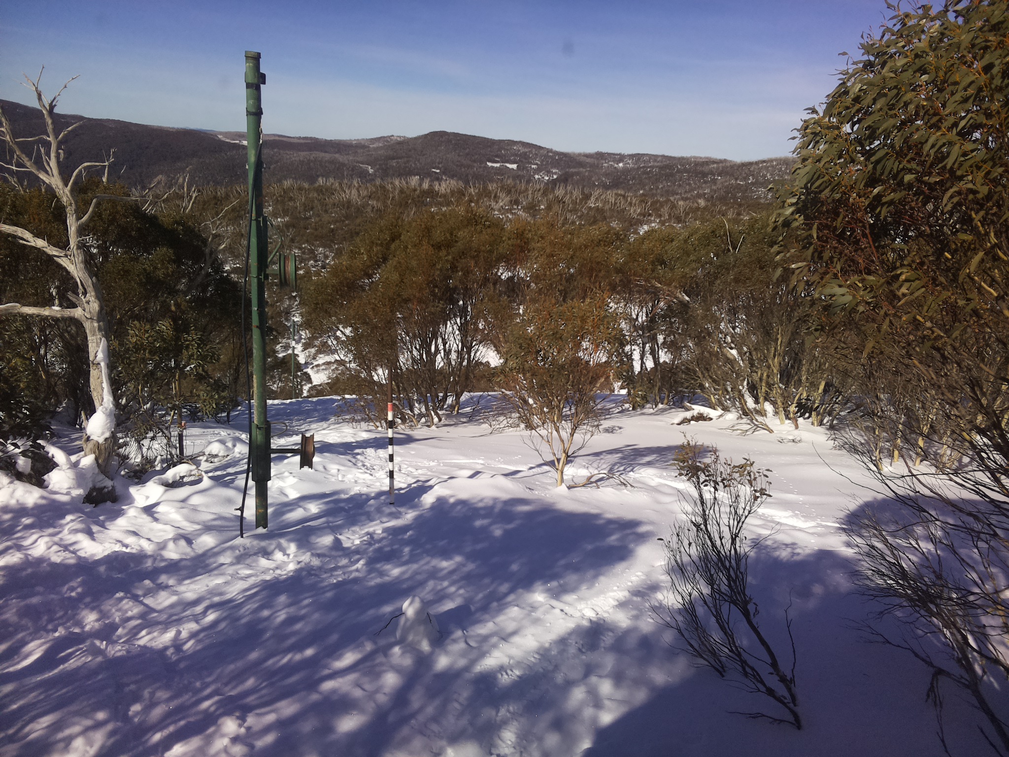 Bogong Web Cam 11:40am Saturday 19th of July 2025