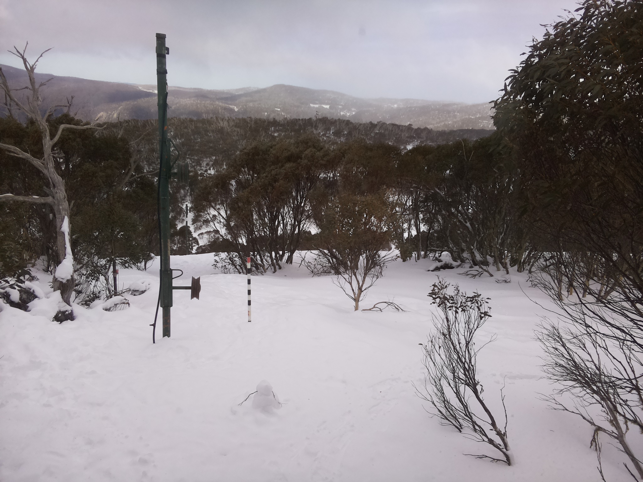 Bogong Web Cam 1:10pm Saturday 19th of July 2025