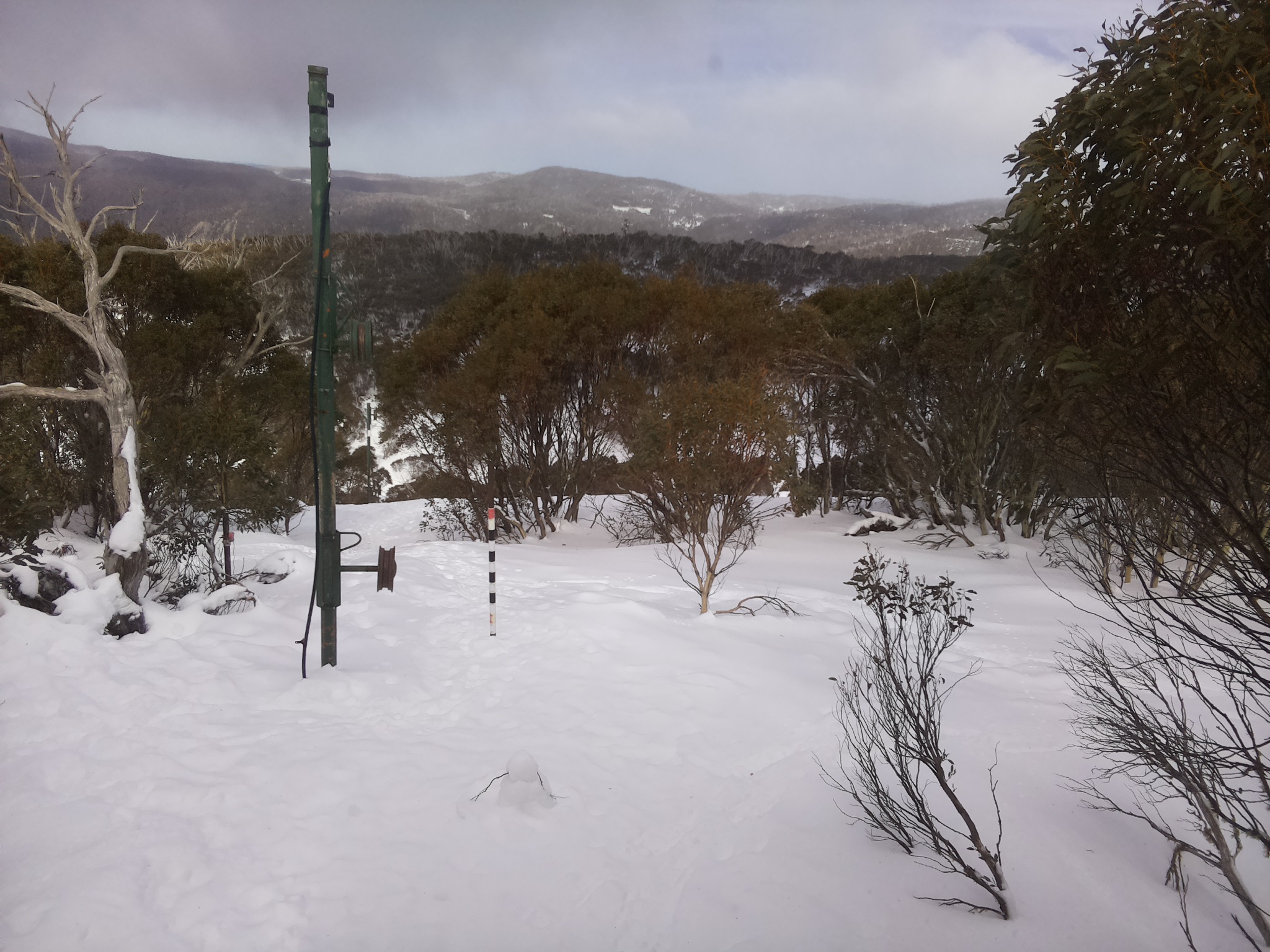 Bogong Web Cam 1:20pm Saturday 19th of July 2025