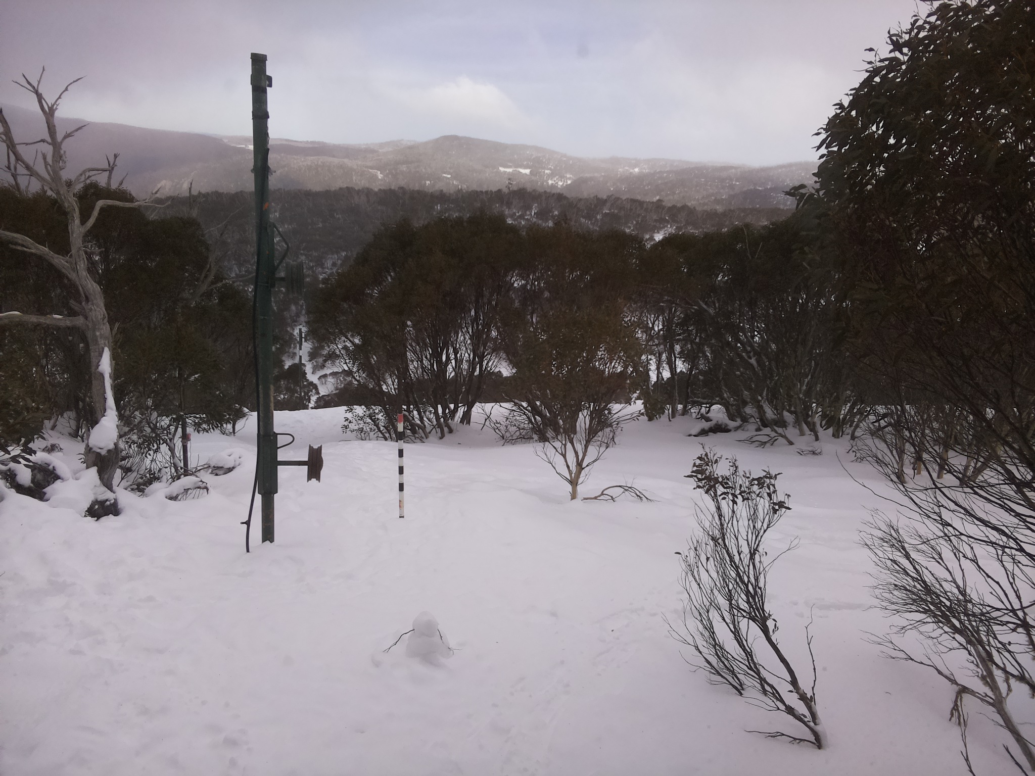 Bogong Web Cam 1:40pm Saturday 19th of July 2025