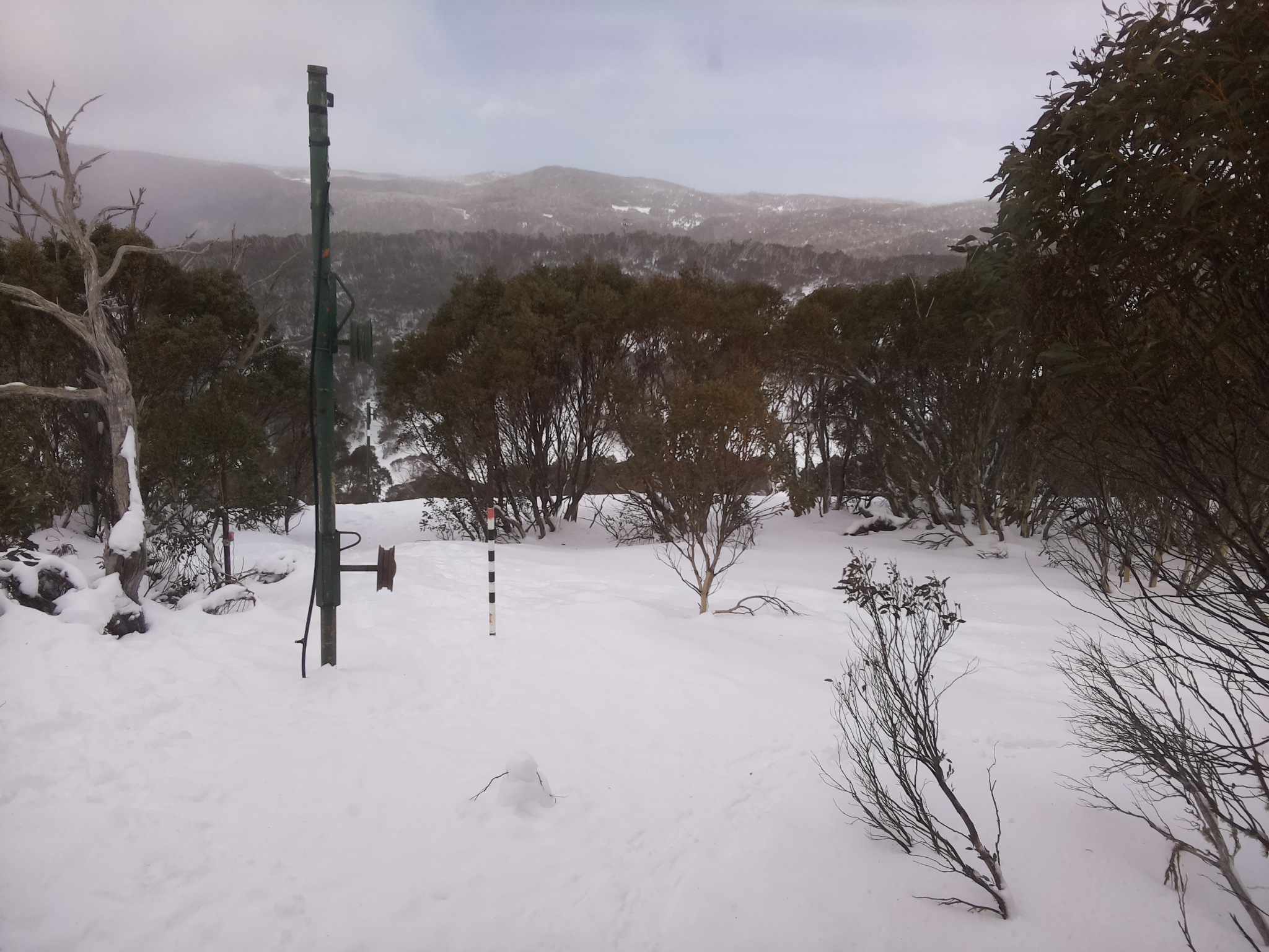 Bogong Web Cam 1:50pm Saturday 19th of July 2025
