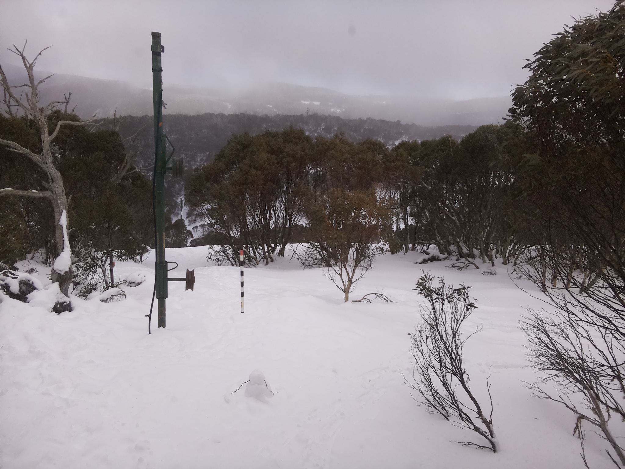 Bogong Web Cam 2:20pm Saturday 19th of July 2025