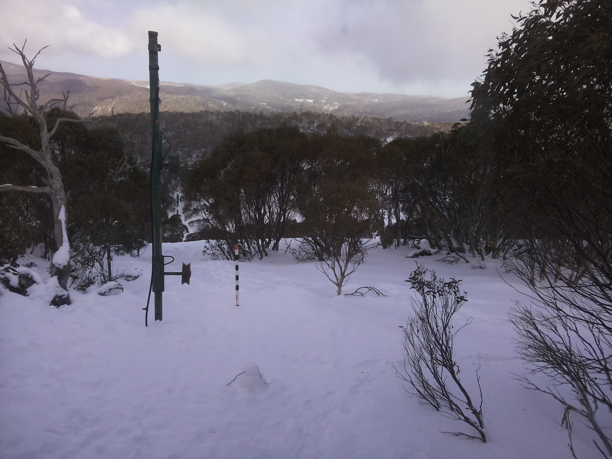Bogong Web Cam 2:50pm Saturday 19th of July 2025