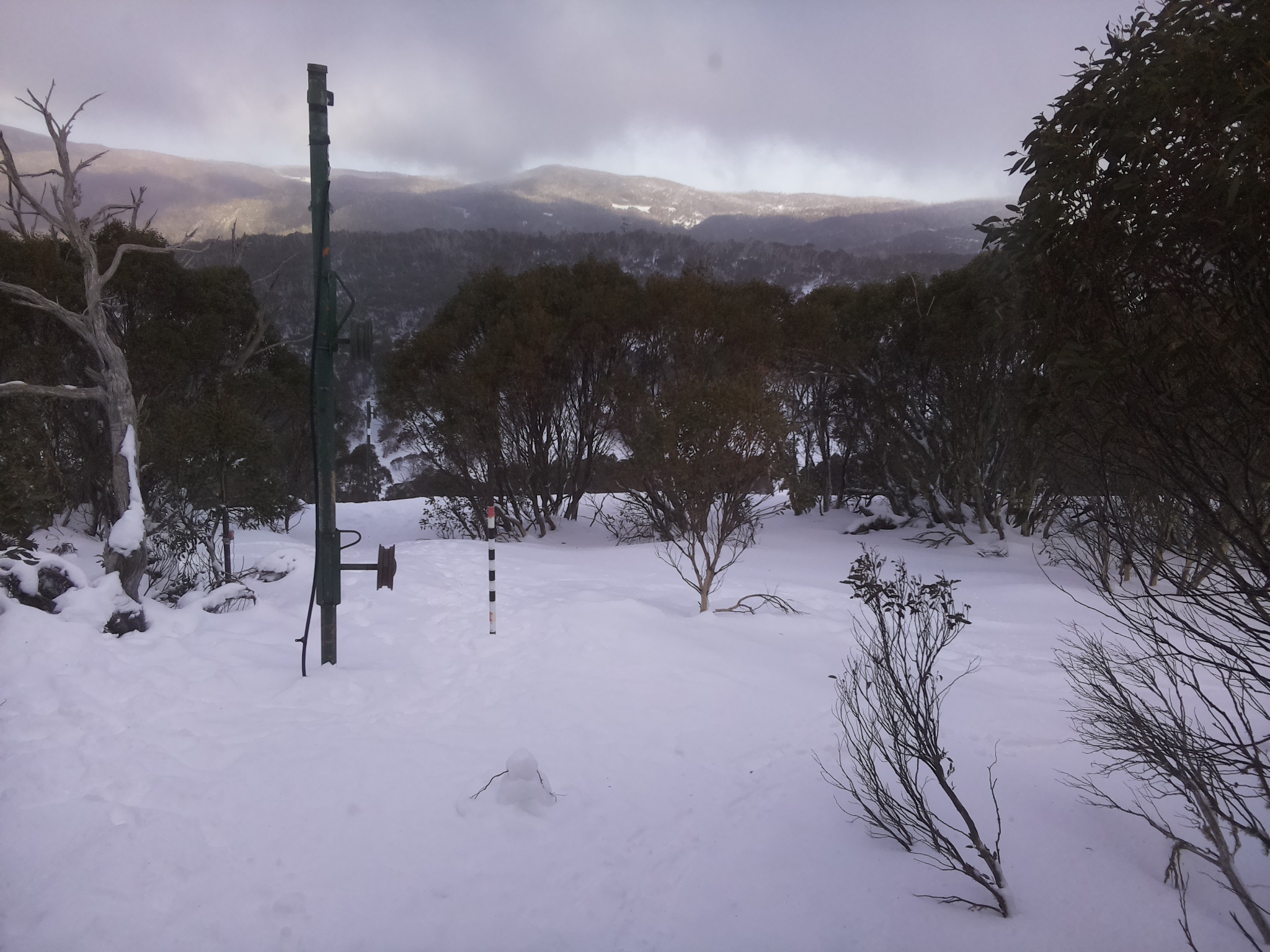 Bogong Web Cam 3:10pm Saturday 19th of July 2025