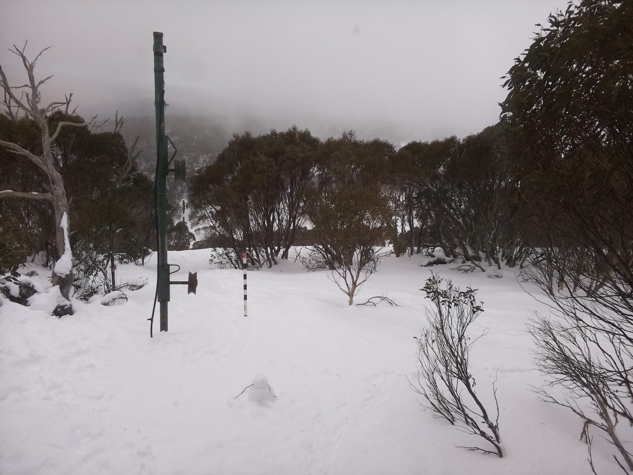 Bogong Web Cam 3:20pm Saturday 19th of July 2025