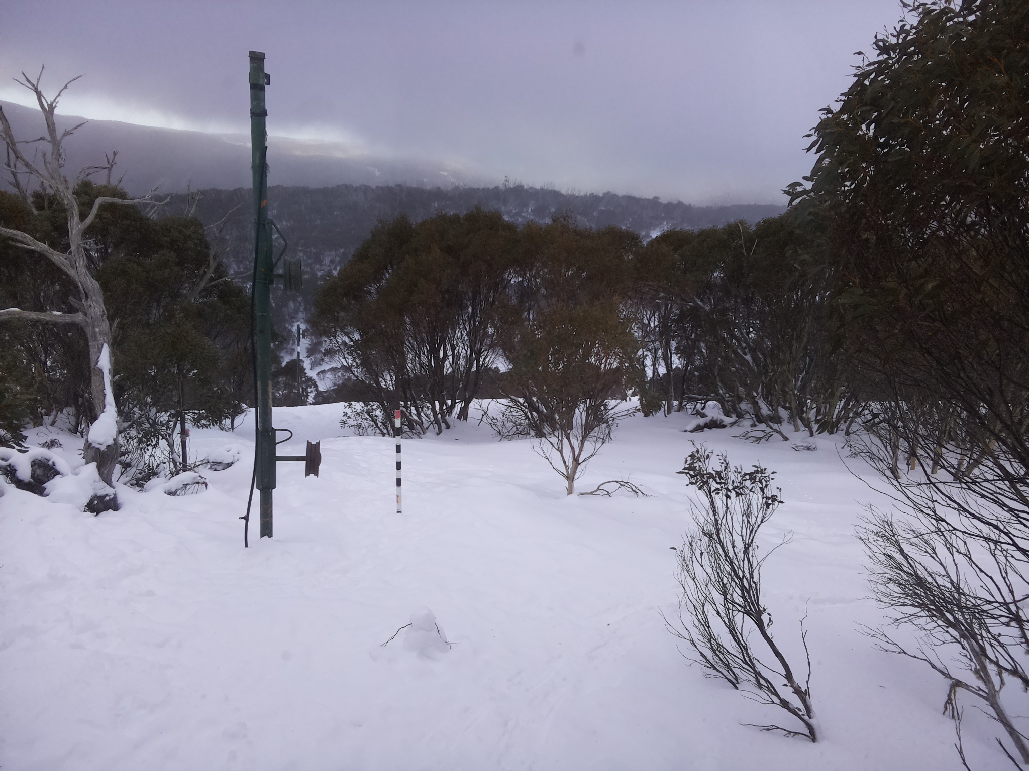 Bogong Web Cam 3:40pm Saturday 19th of July 2025