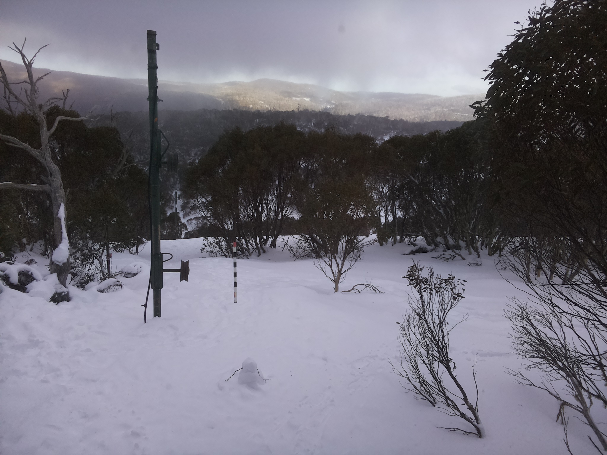 Bogong Web Cam 3:50pm Saturday 19th of July 2025