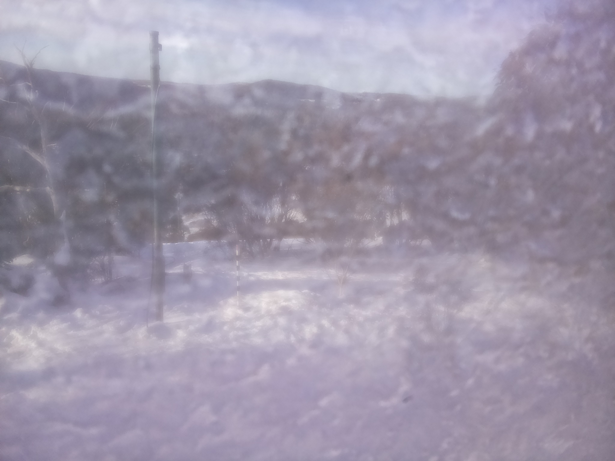 Bogong Web Cam 8:50am Monday 21st of July 2025