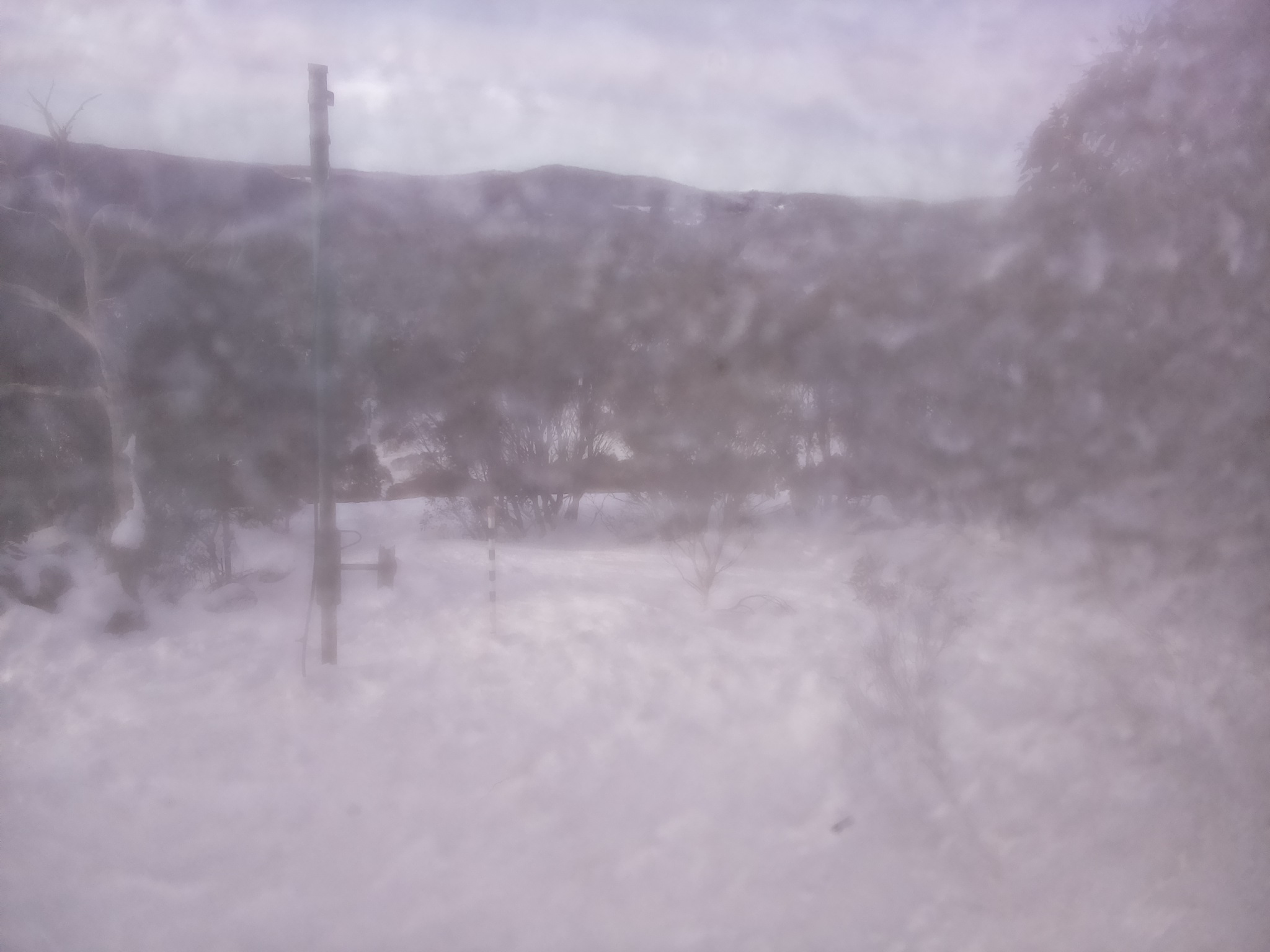 Bogong Web Cam 9:20am Monday 21st of July 2025