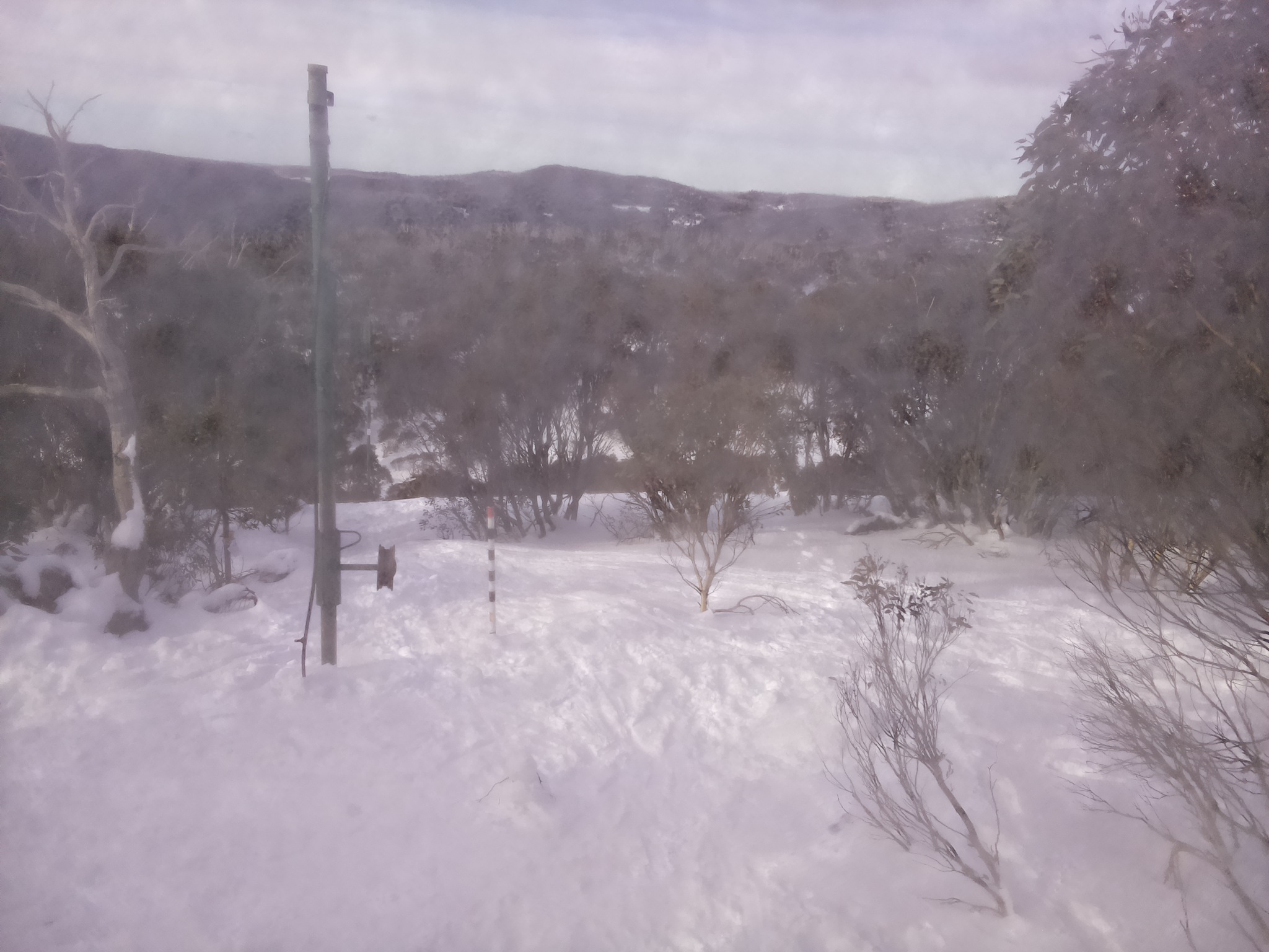 Bogong Web Cam 9:50am Monday 21st of July 2025