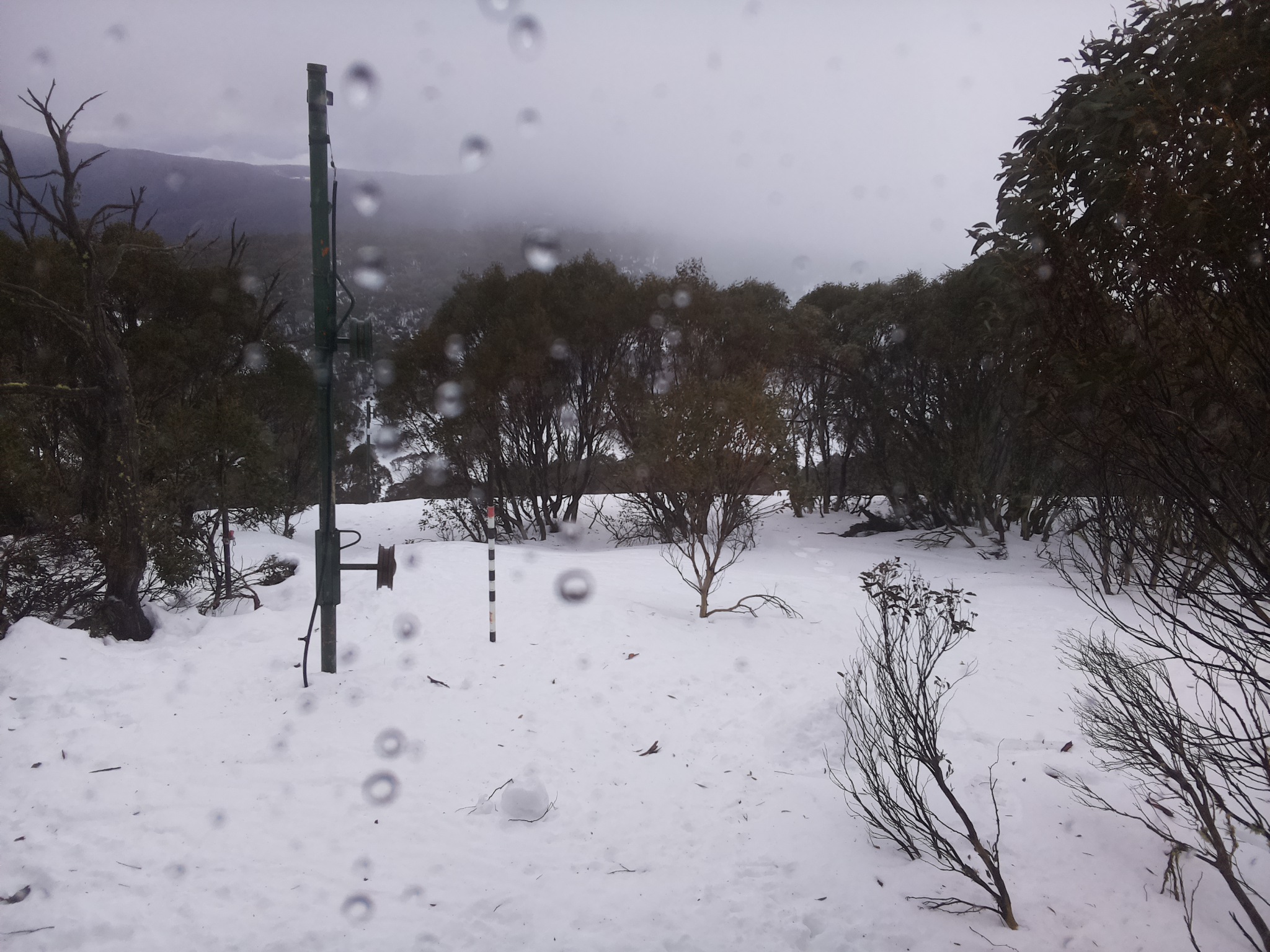 Bogong Web Cam 10:20am Tuesday 22nd of July 2025