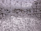 Thumbnail 10:10am Wednesday 23rd of July 2025