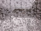 Selected Thumbnail 12:30pm Wednesday 23rd of July 2025