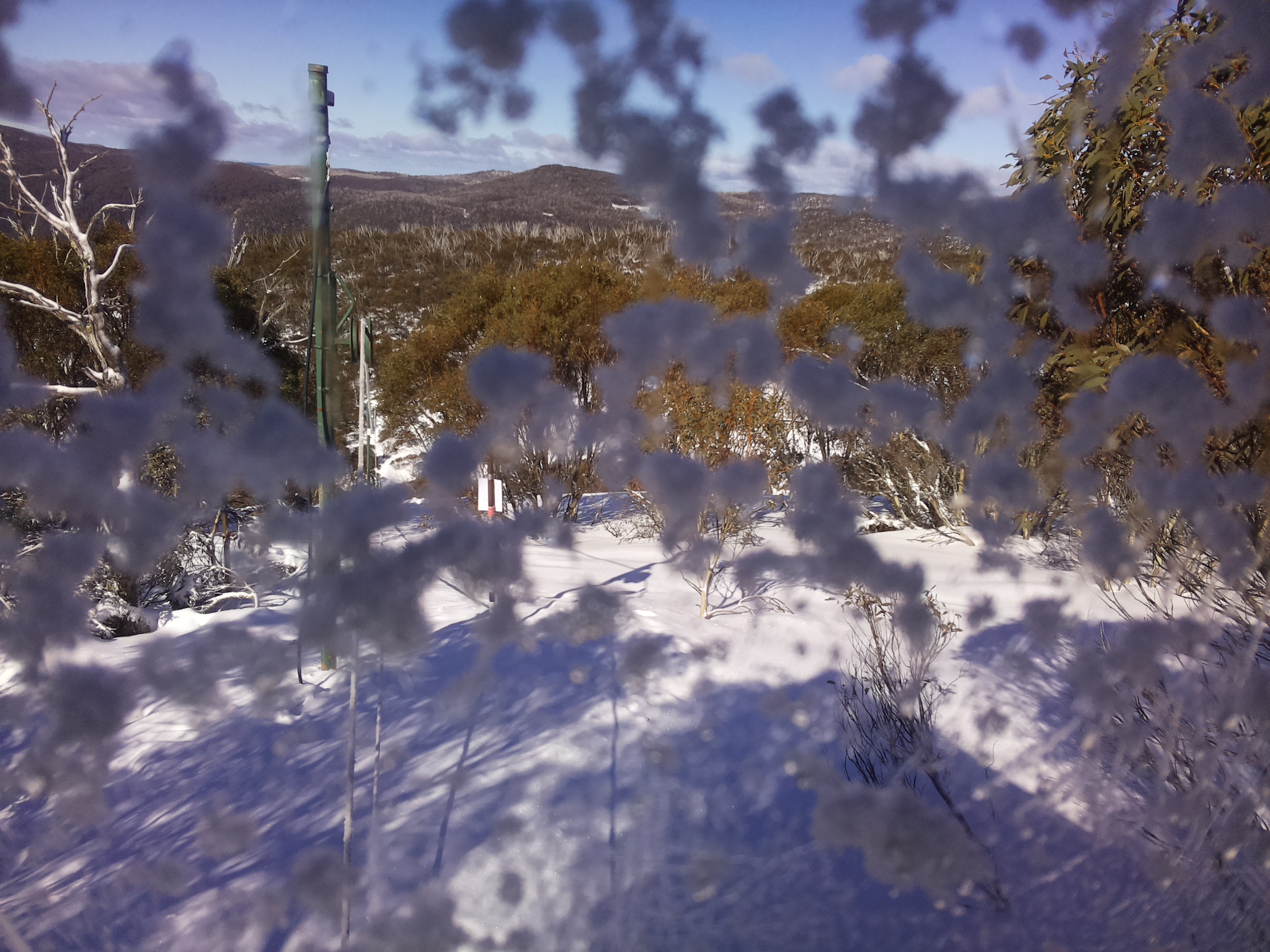 Bogong Web Cam 12:10pm Thursday 24th of July 2025