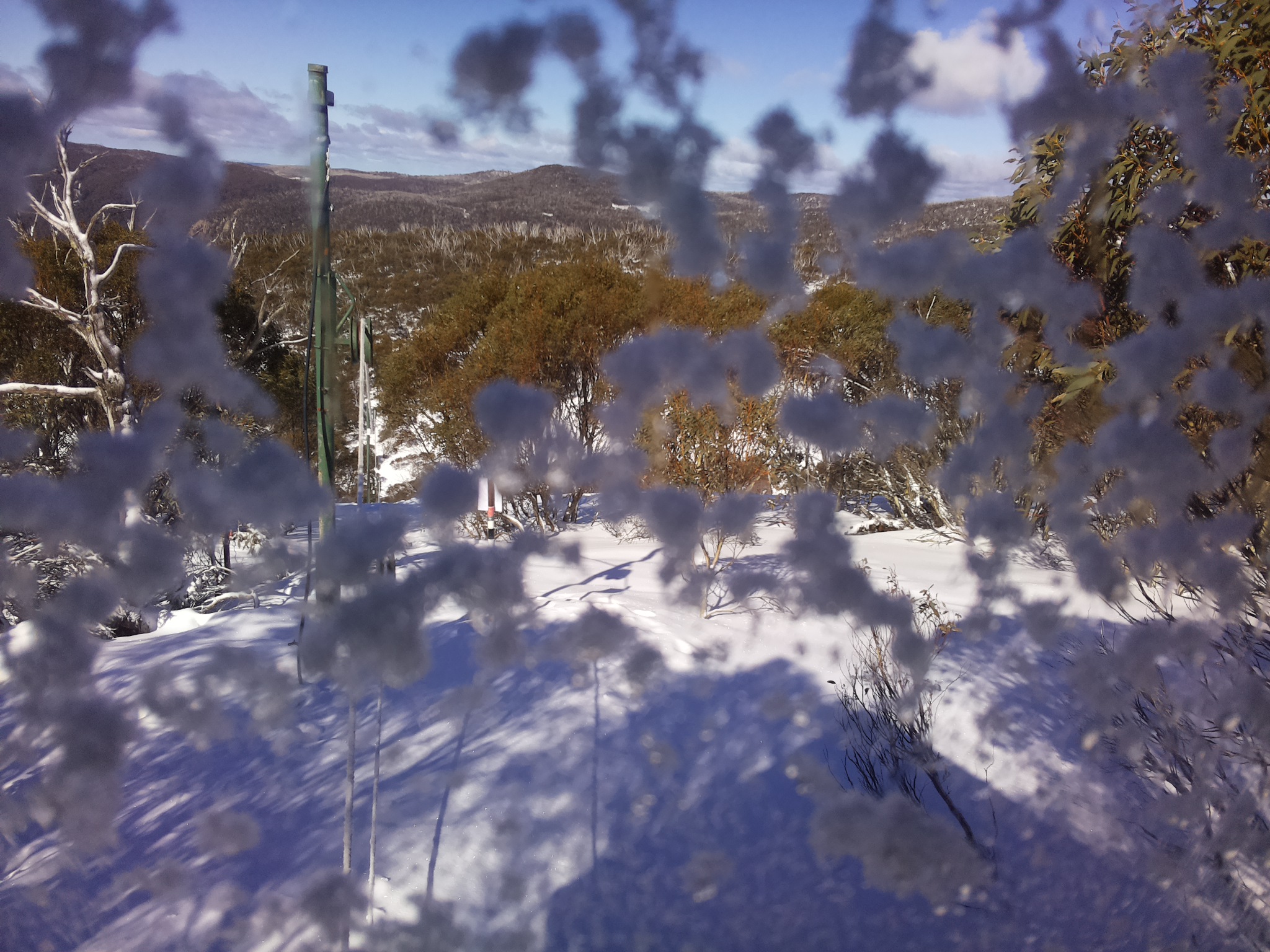 Bogong Web Cam 12:20pm Thursday 24th of July 2025