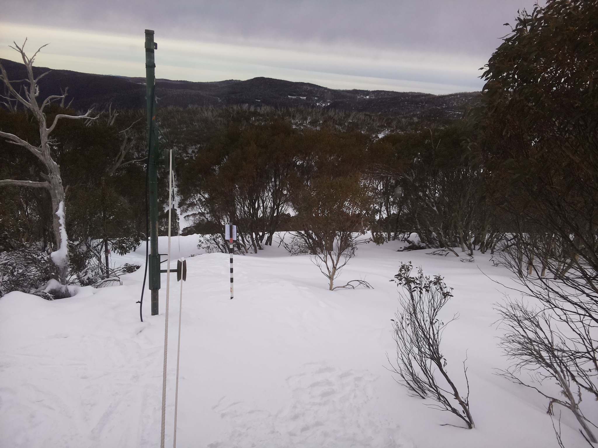 Bogong Web Cam 8:50am Friday 25th of July 2025