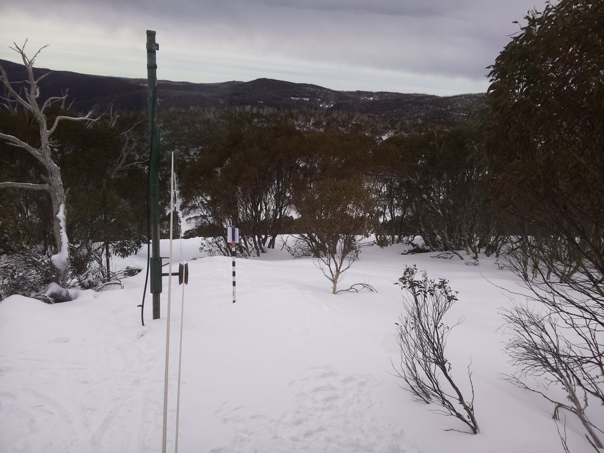 Bogong Web Cam 9:20am Friday 25th of July 2025