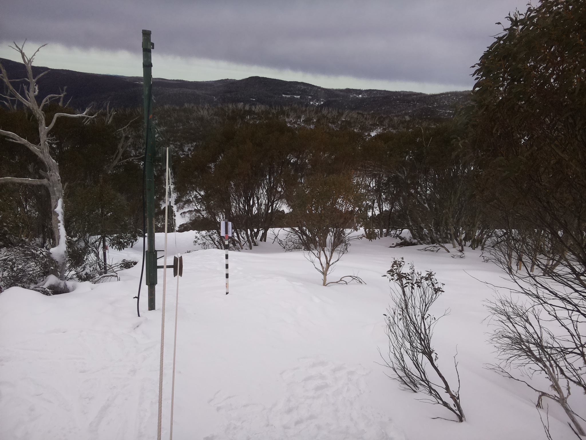 Bogong Web Cam 9:50am Friday 25th of July 2025