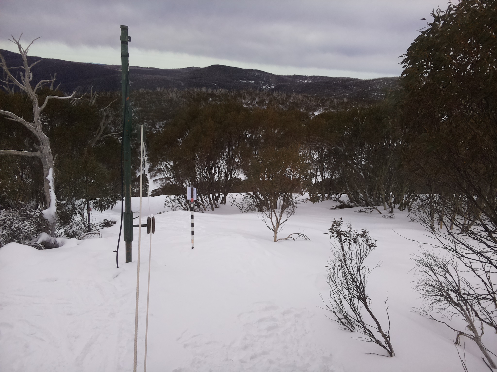 Bogong Web Cam 10:00am Friday 25th of July 2025