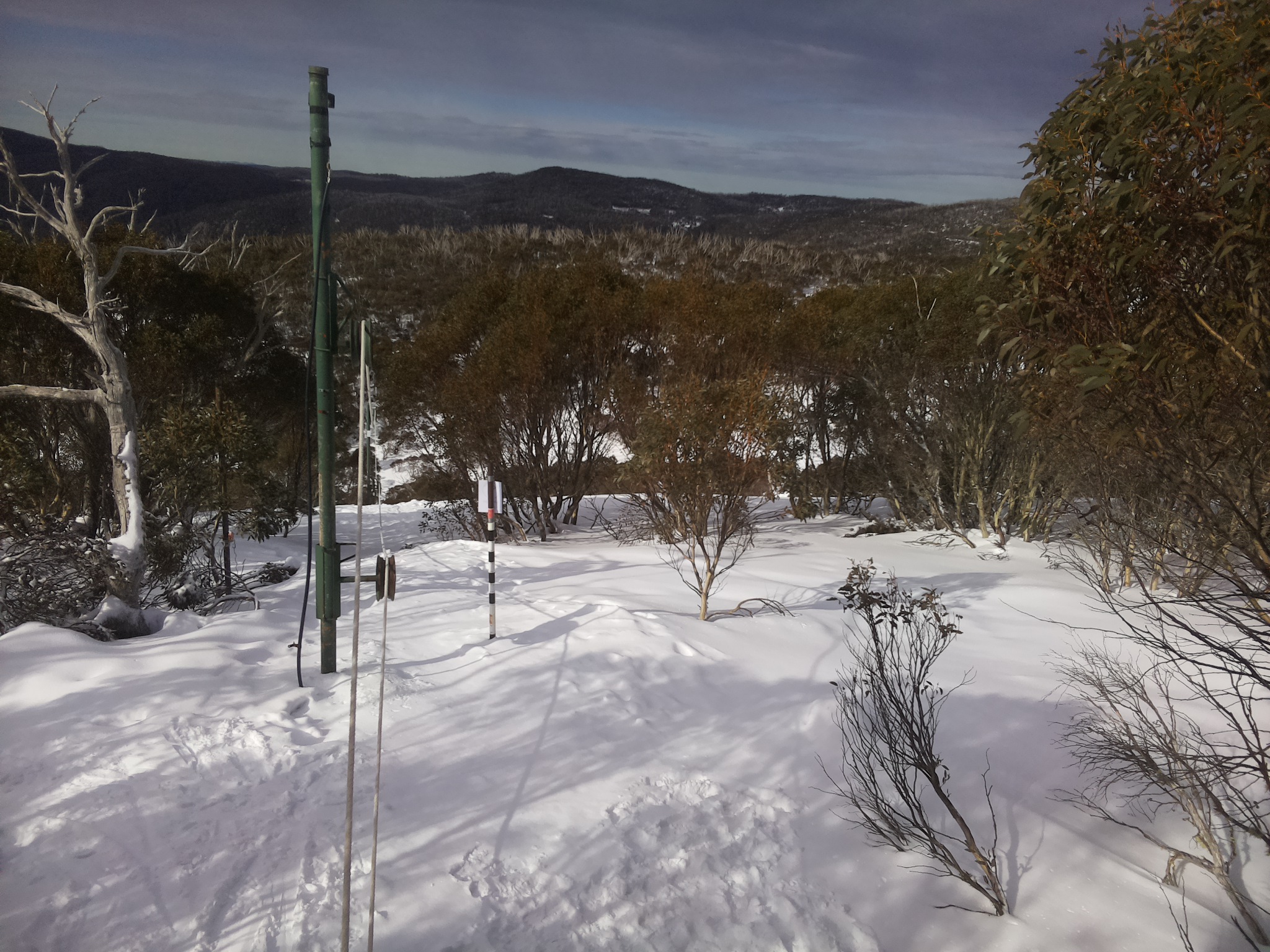 Bogong Web Cam 10:40am Friday 25th of July 2025