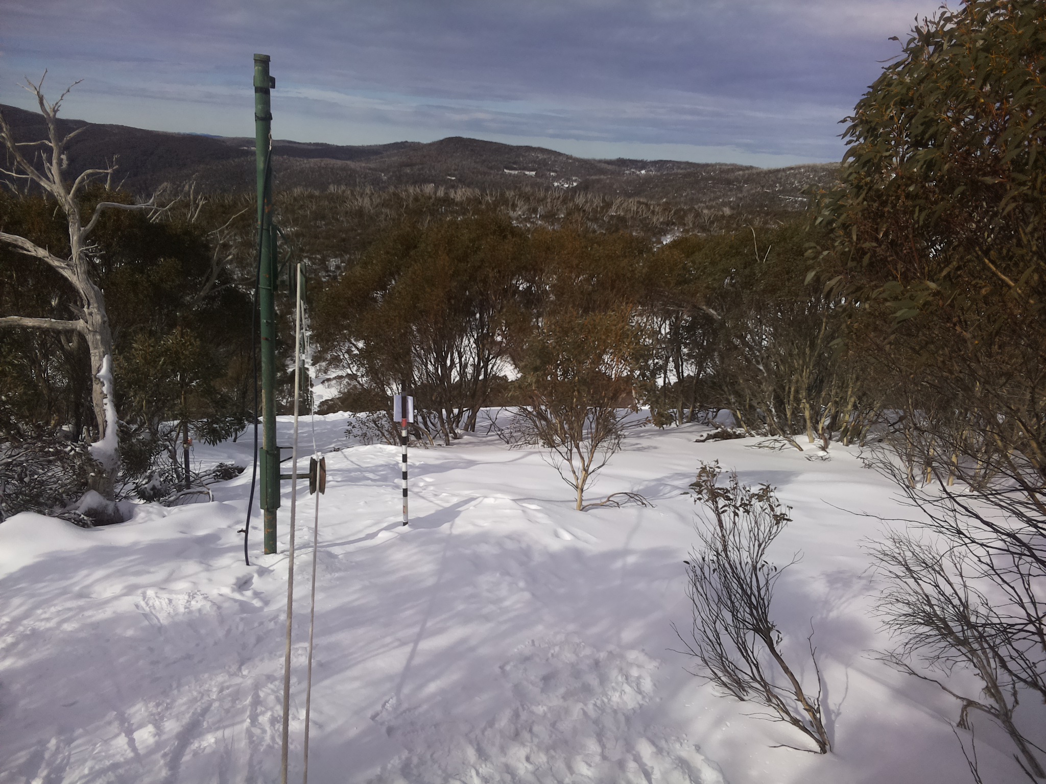 Bogong Web Cam 11:00am Friday 25th of July 2025