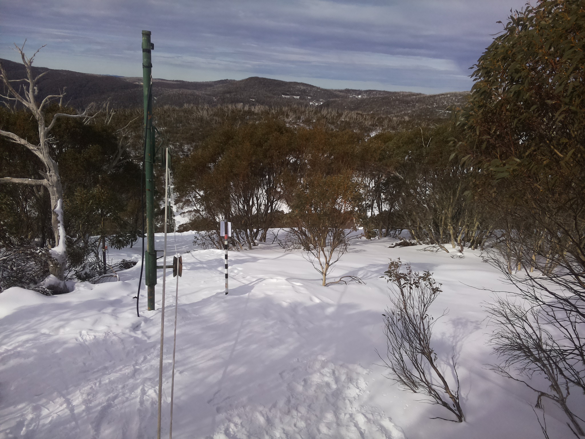 Bogong Web Cam 11:10am Friday 25th of July 2025