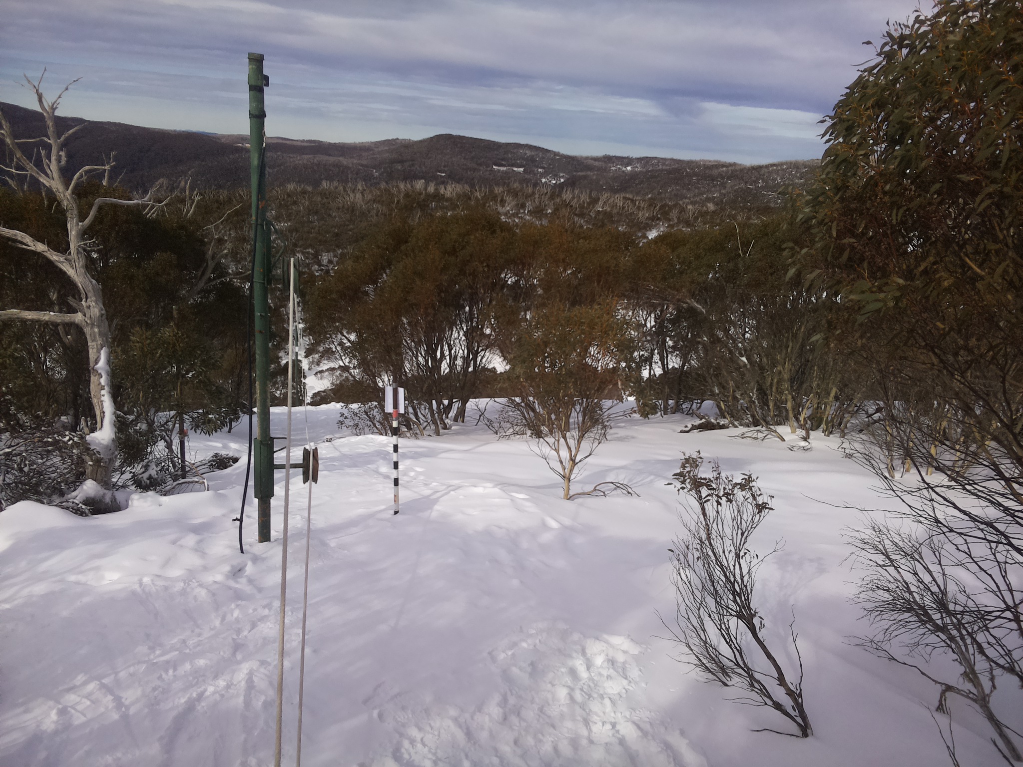 Bogong Web Cam 11:20am Friday 25th of July 2025