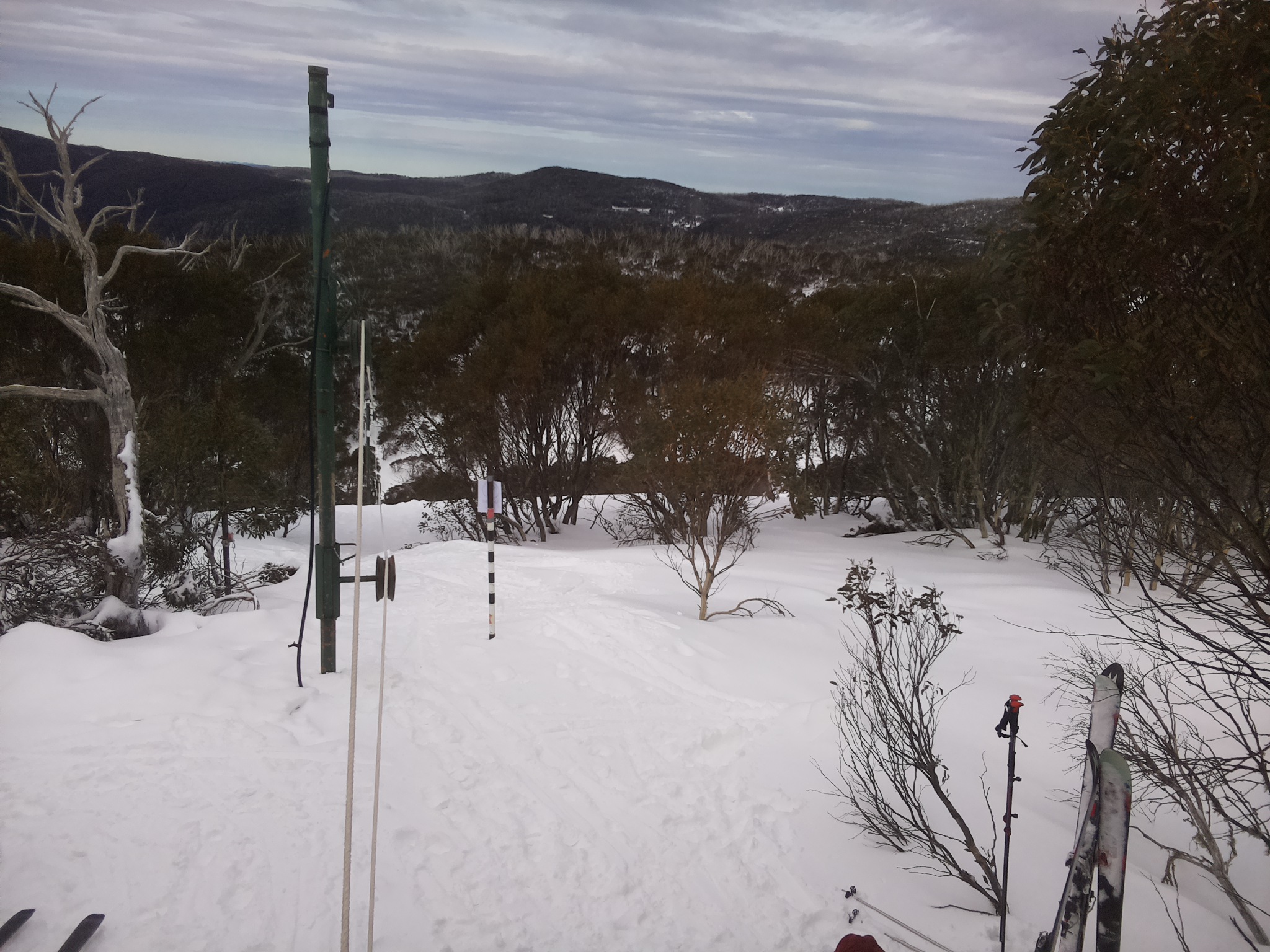 Bogong Web Cam 11:50am Friday 25th of July 2025