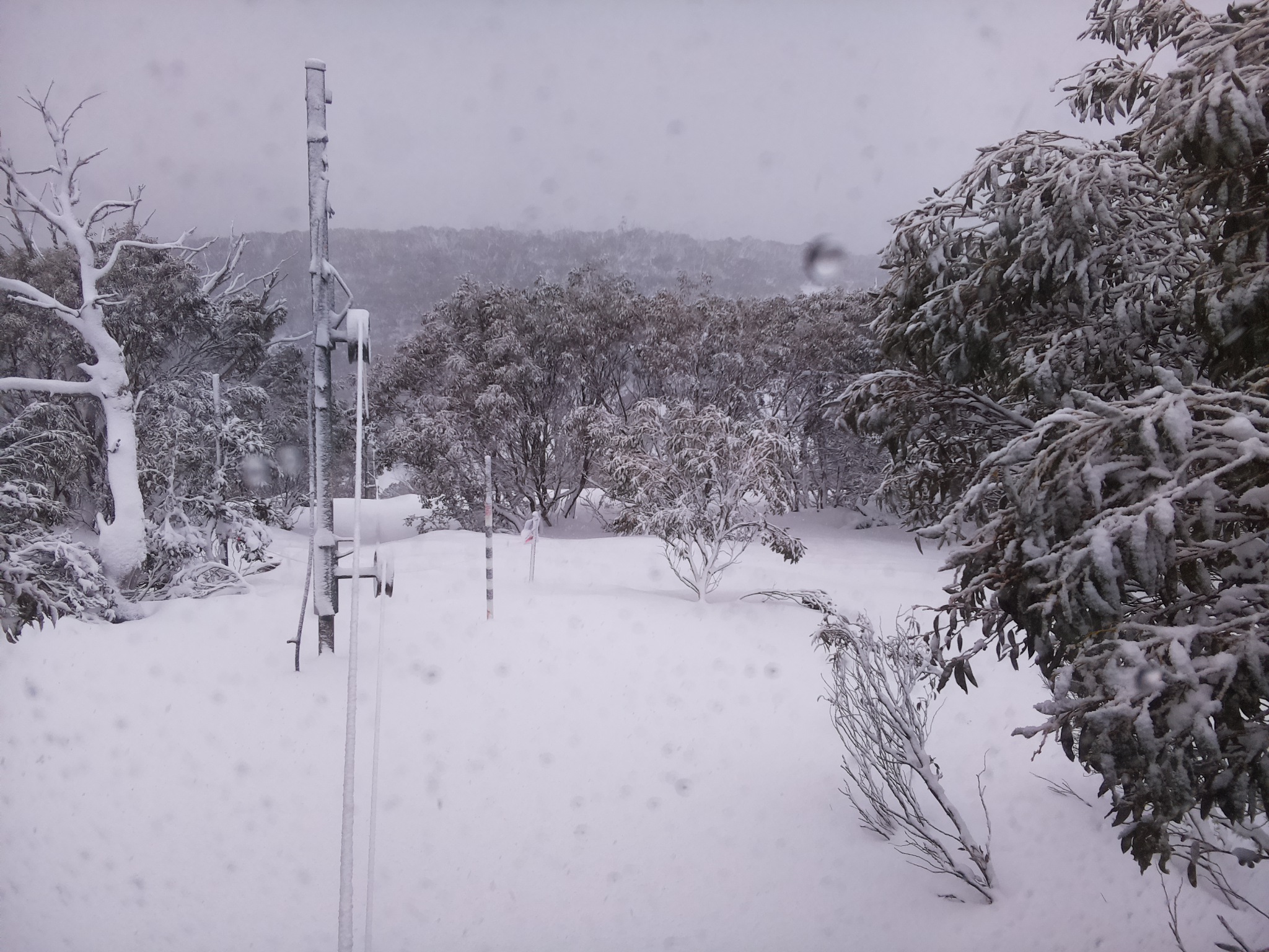 Bogong Web Cam 8:00am Saturday 26th of July 2025