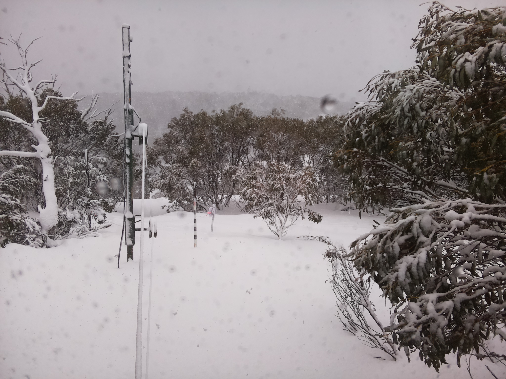 Bogong Web Cam 9:20am Saturday 26th of July 2025