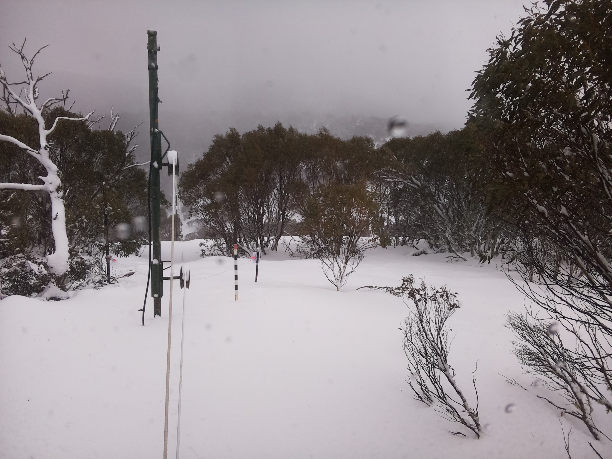 Bogong Web Cam 10:40am Saturday 26th of July 2025