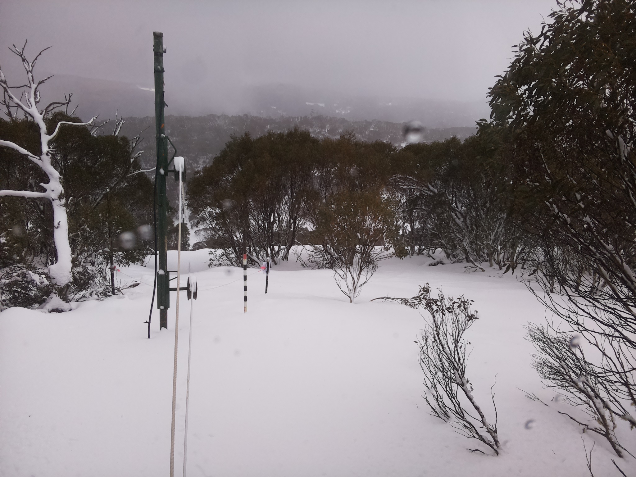 Bogong Web Cam 10:50am Saturday 26th of July 2025