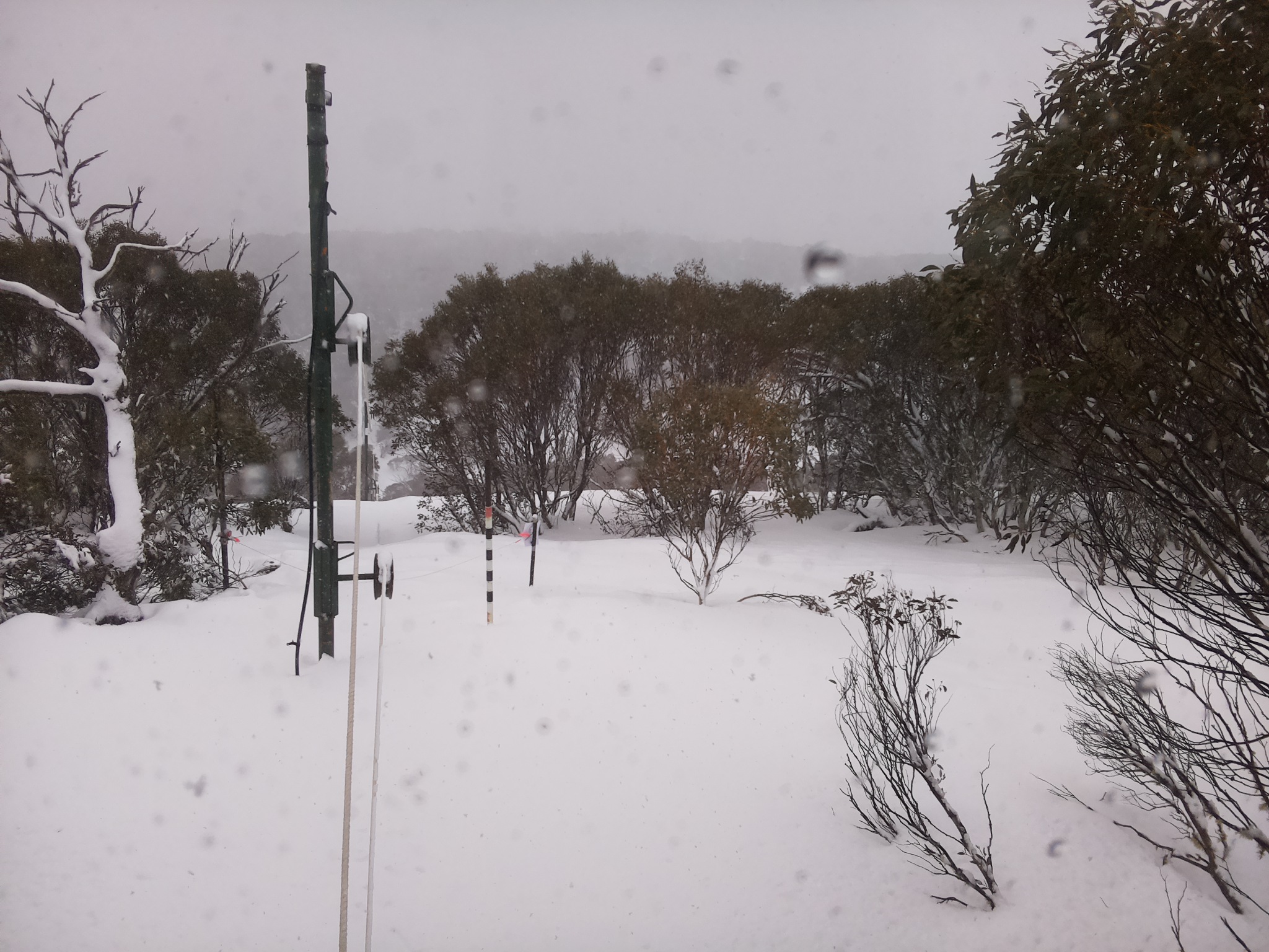 Bogong Web Cam 11:20am Saturday 26th of July 2025