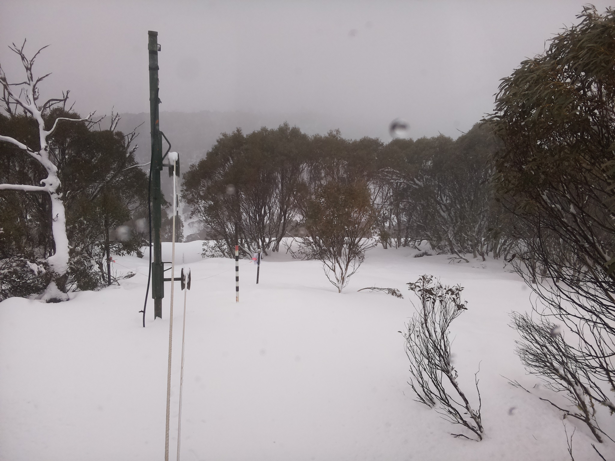 Bogong Web Cam 11:50am Saturday 26th of July 2025