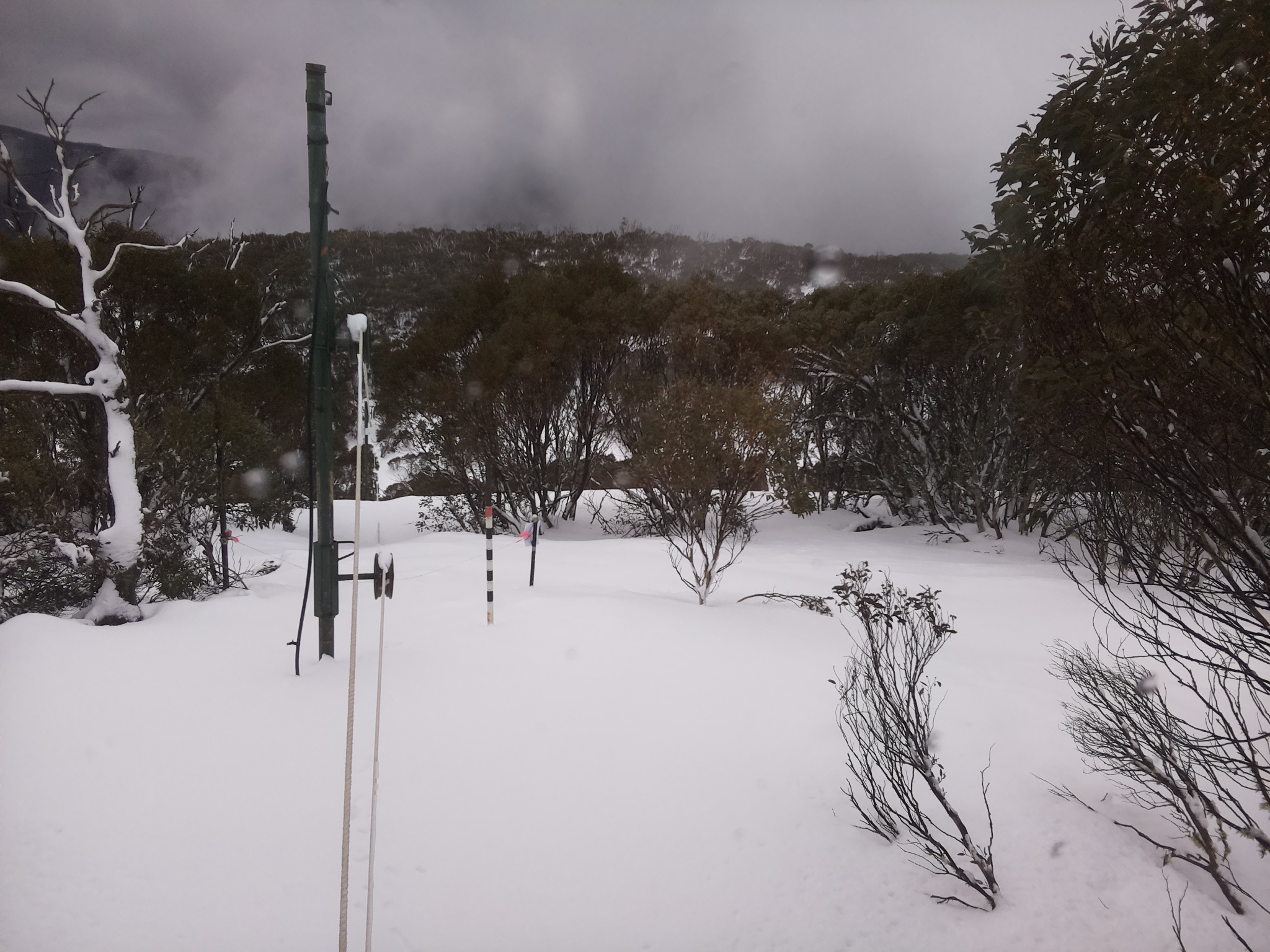 Bogong Web Cam 12:20pm Saturday 26th of July 2025