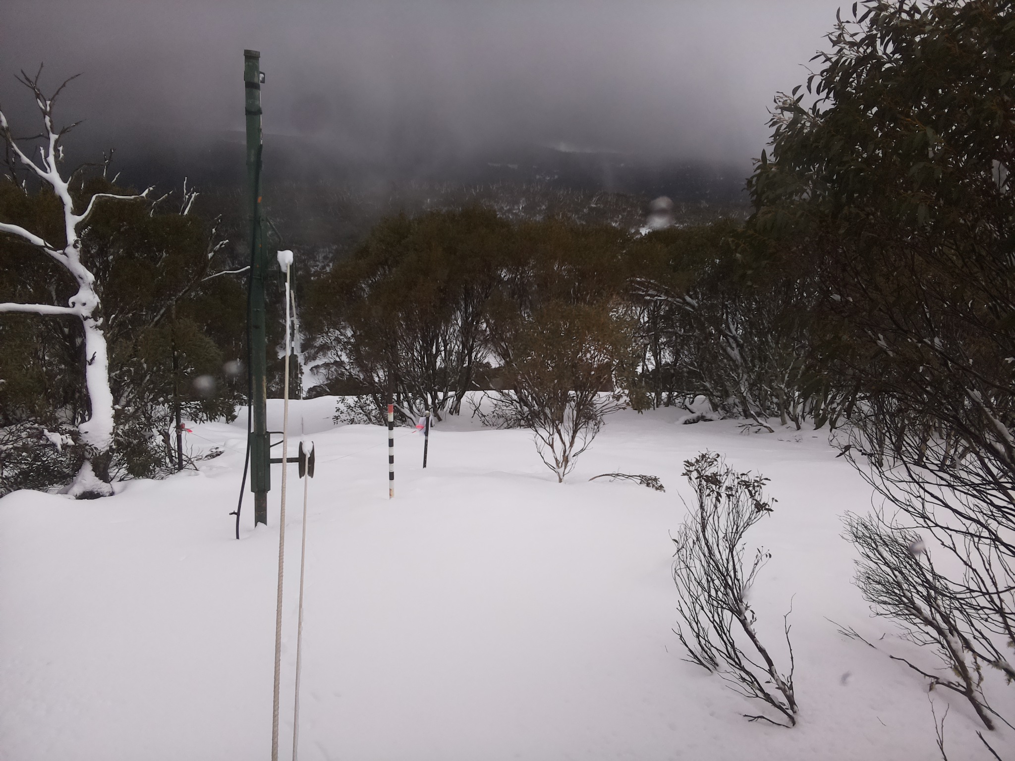 Bogong Web Cam 12:40pm Saturday 26th of July 2025