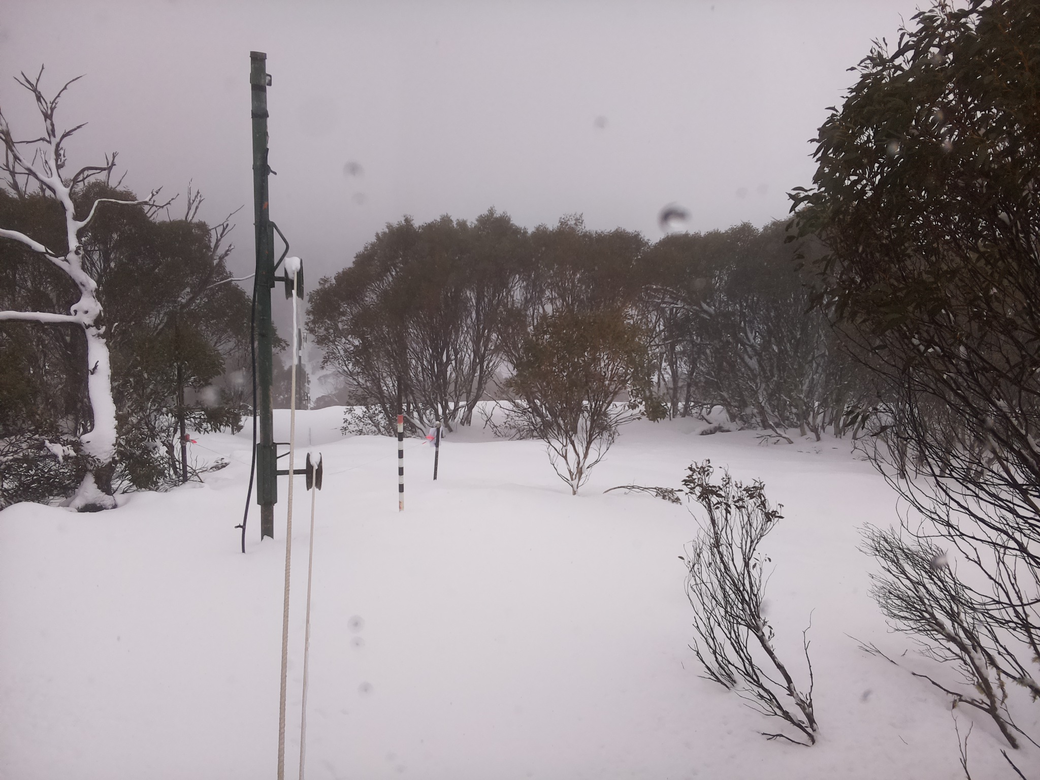 Bogong Web Cam 12:50pm Saturday 26th of July 2025