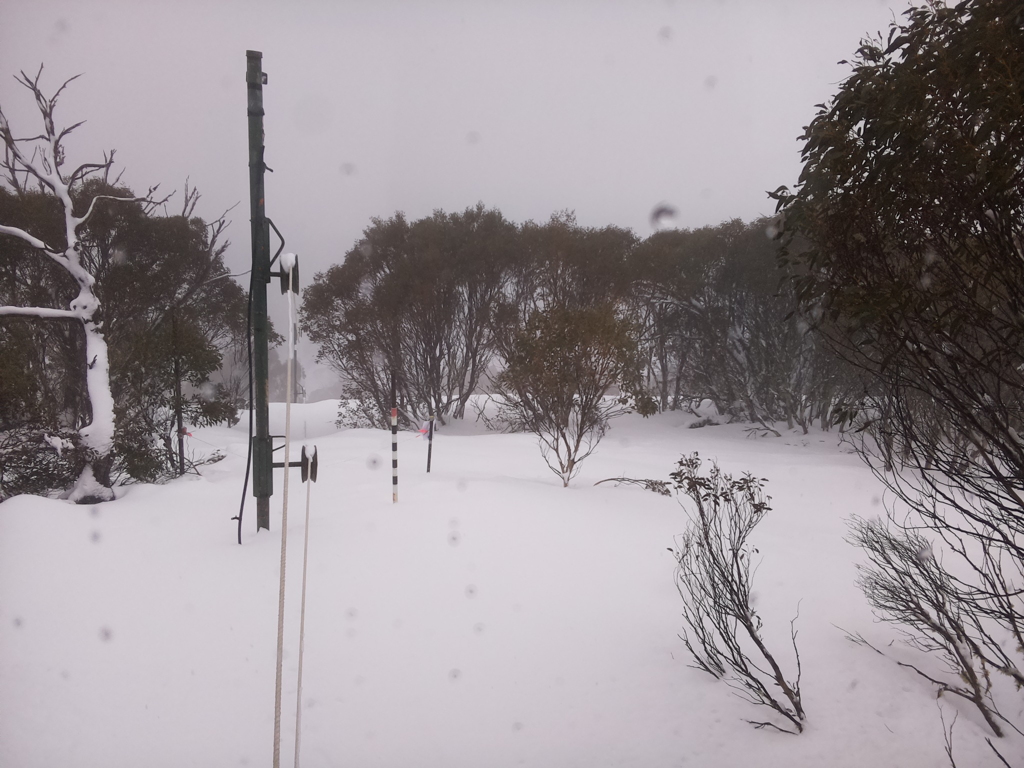 Bogong Web Cam 1:50pm Saturday 26th of July 2025