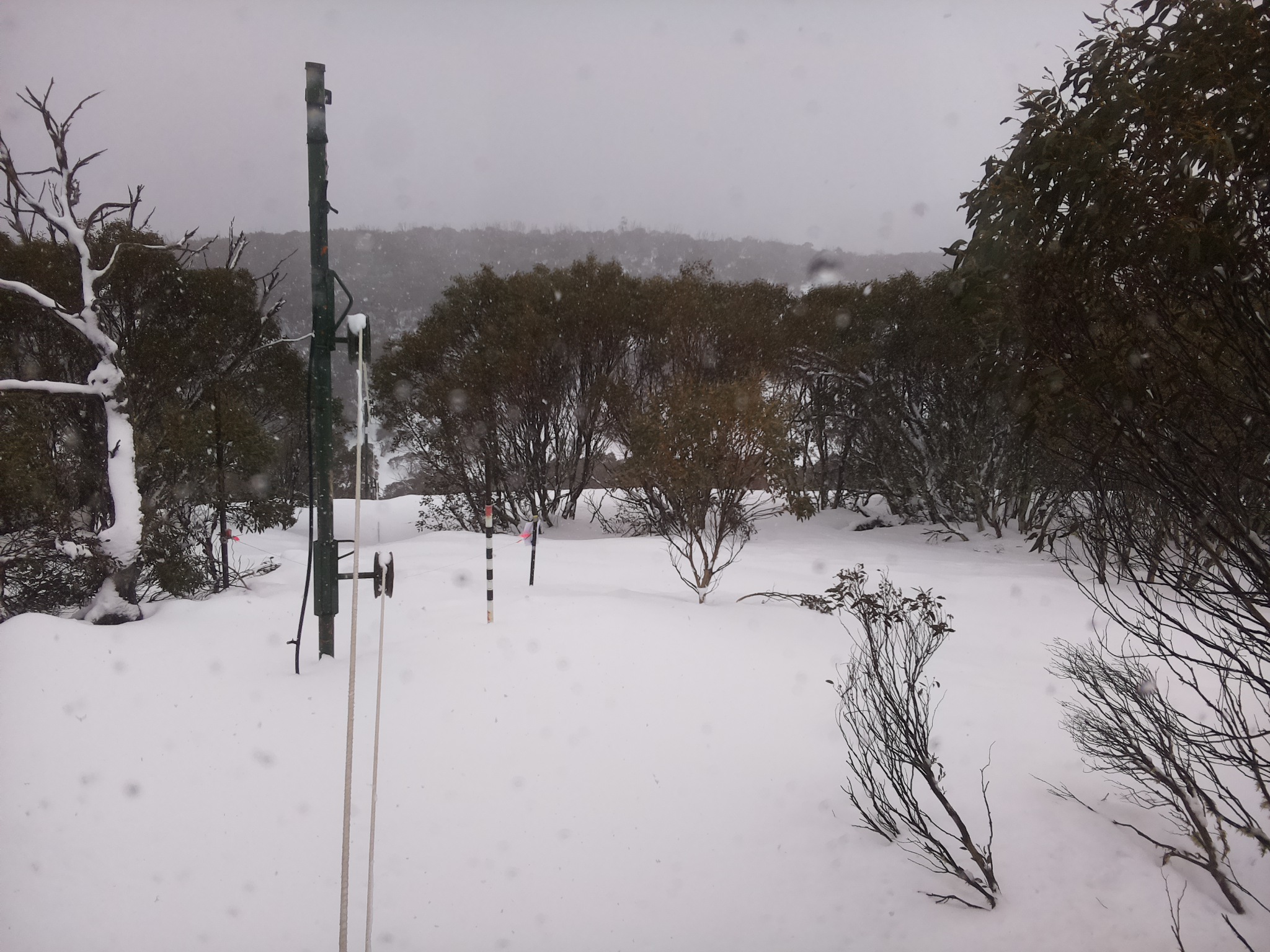 Bogong Web Cam 3:20pm Saturday 26th of July 2025