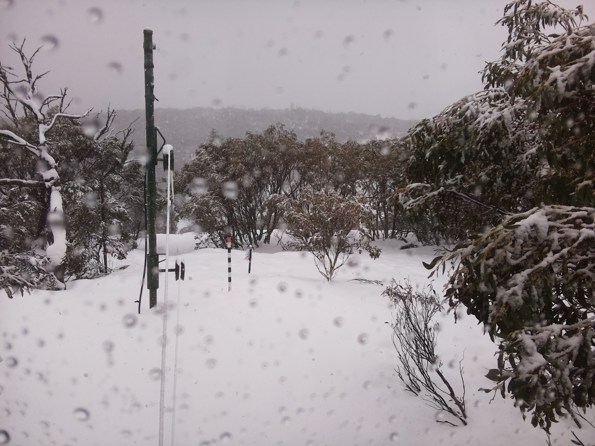 Bogong Web Cam 11:00am Sunday 27th of July 2025