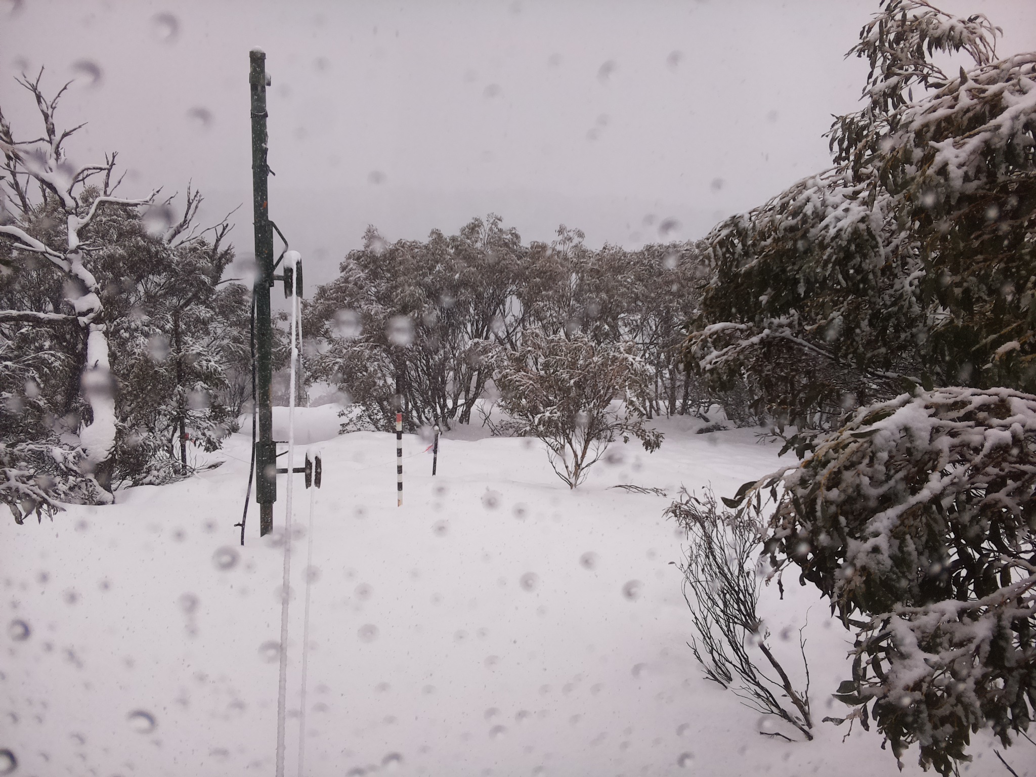 Bogong Web Cam 11:10am Sunday 27th of July 2025