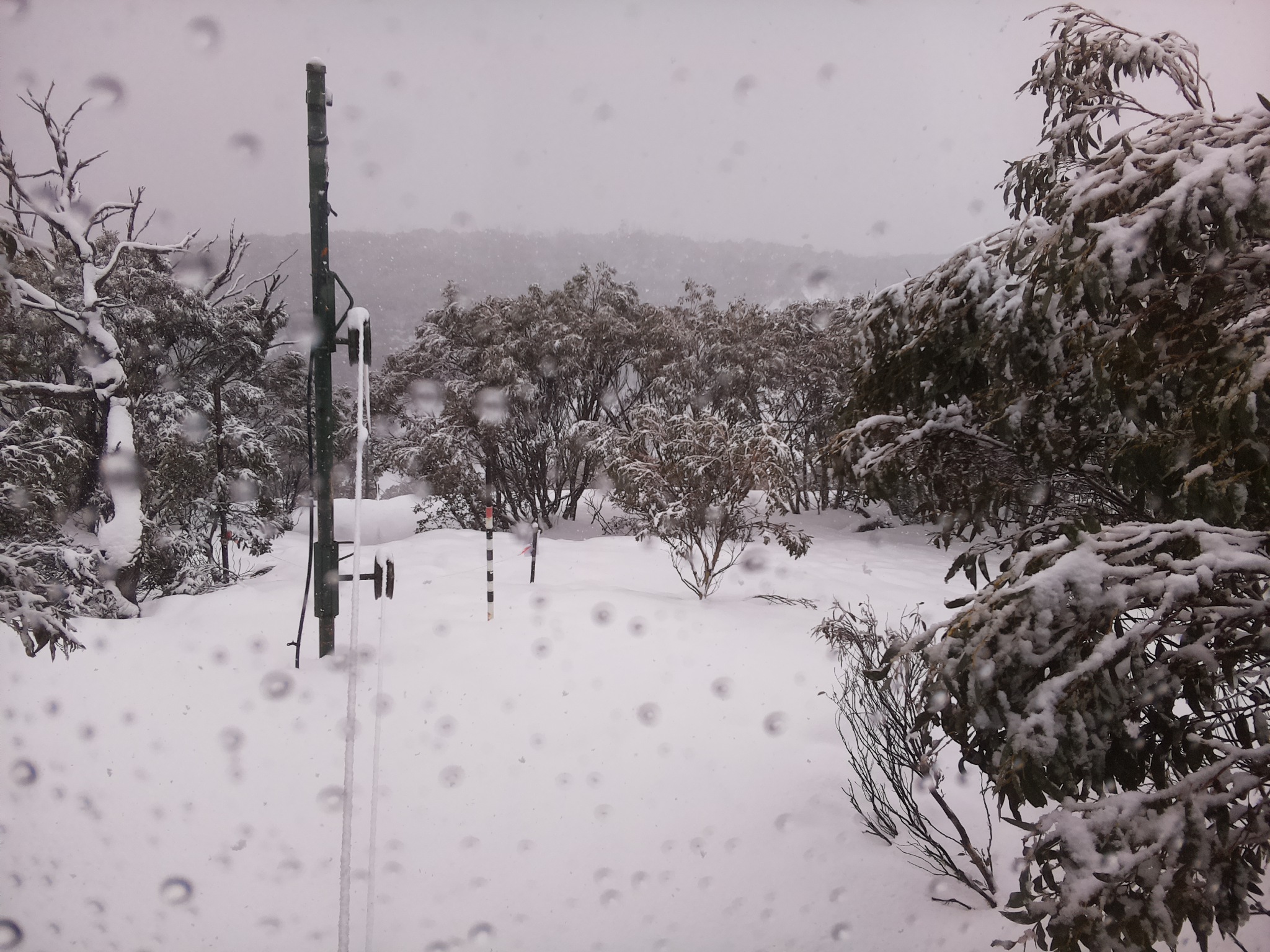 Bogong Web Cam 11:30am Sunday 27th of July 2025