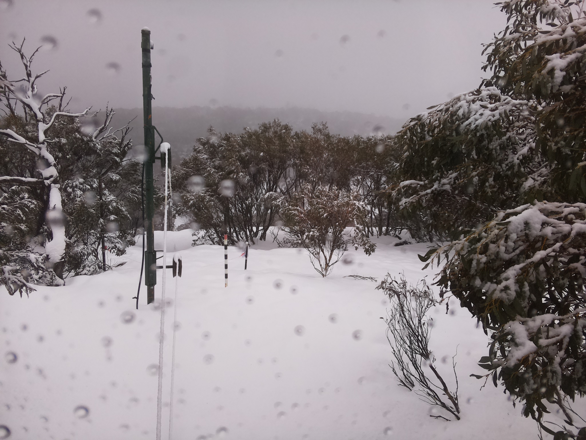 Bogong Web Cam 11:50am Sunday 27th of July 2025