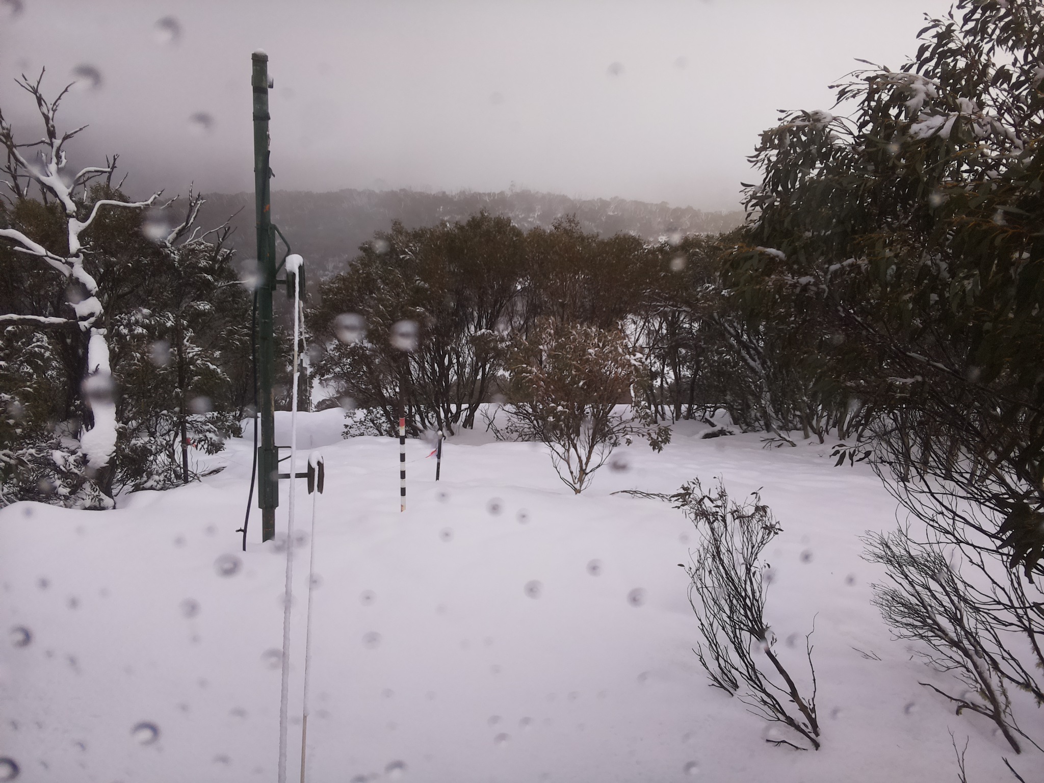 Bogong Web Cam 12:10pm Sunday 27th of July 2025