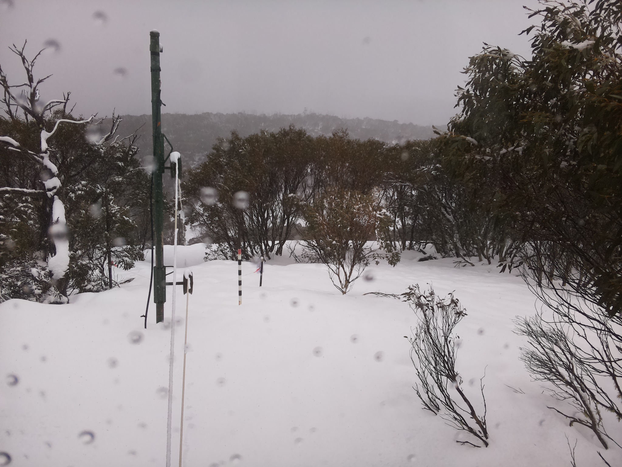 Bogong Web Cam 12:30pm Sunday 27th of July 2025