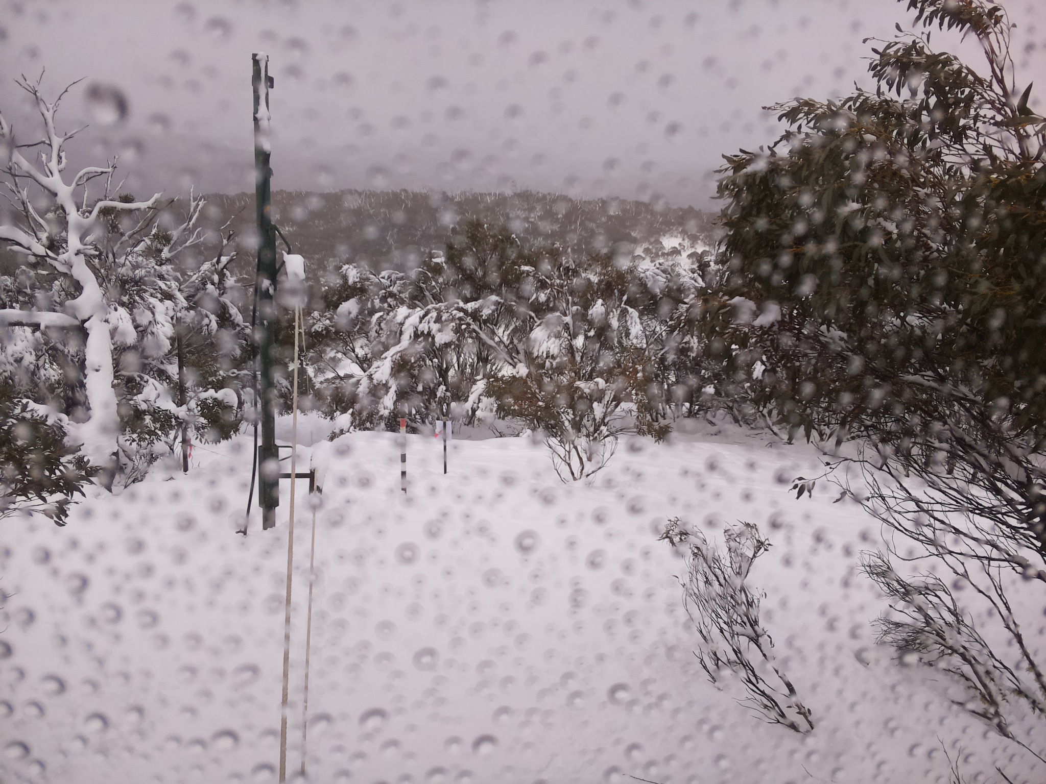 Bogong Web Cam 11:00am Monday 28th of July 2025