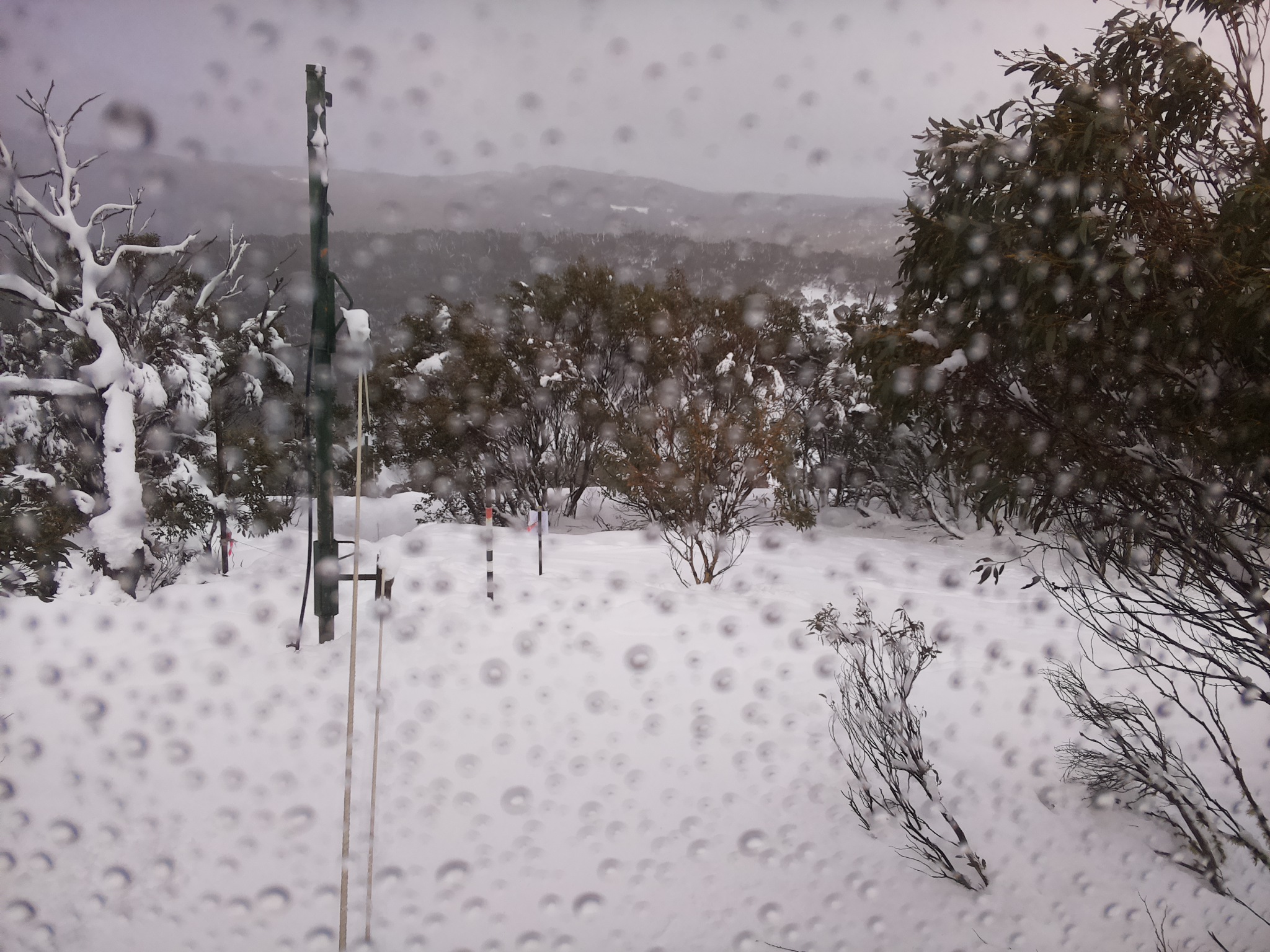 Bogong Web Cam 11:30am Monday 28th of July 2025