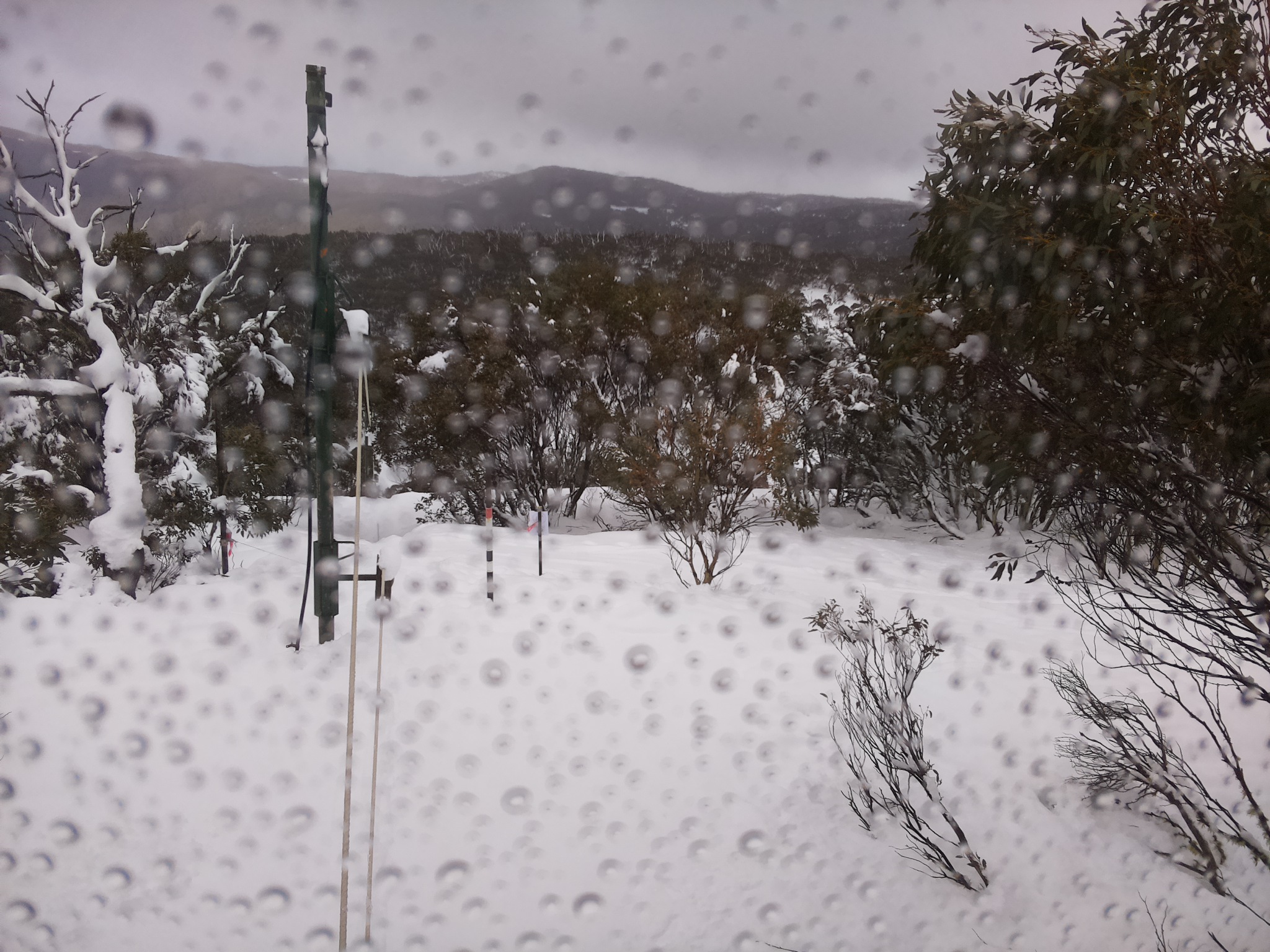 Bogong Web Cam 11:40am Monday 28th of July 2025